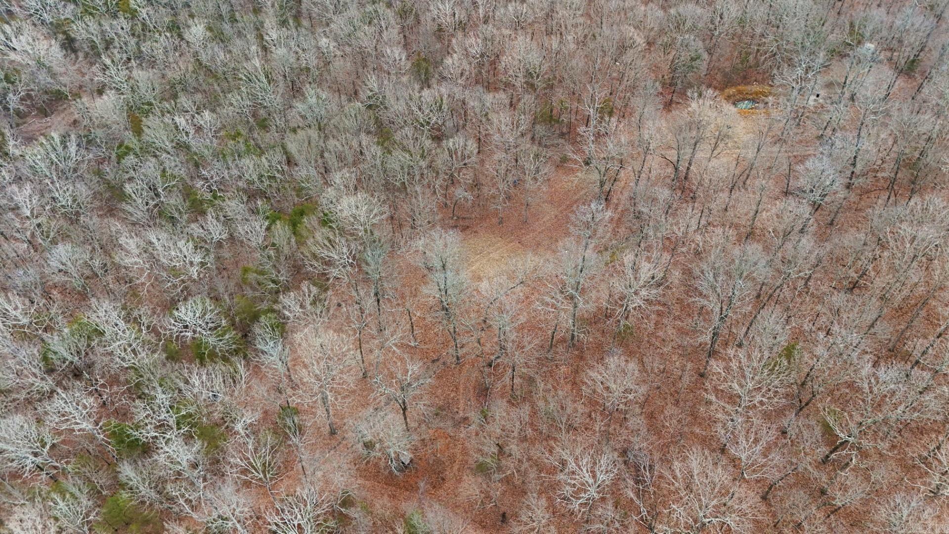 Photo 10 - Vacant Land for sale – 315  Northwoods   Cave City, AR