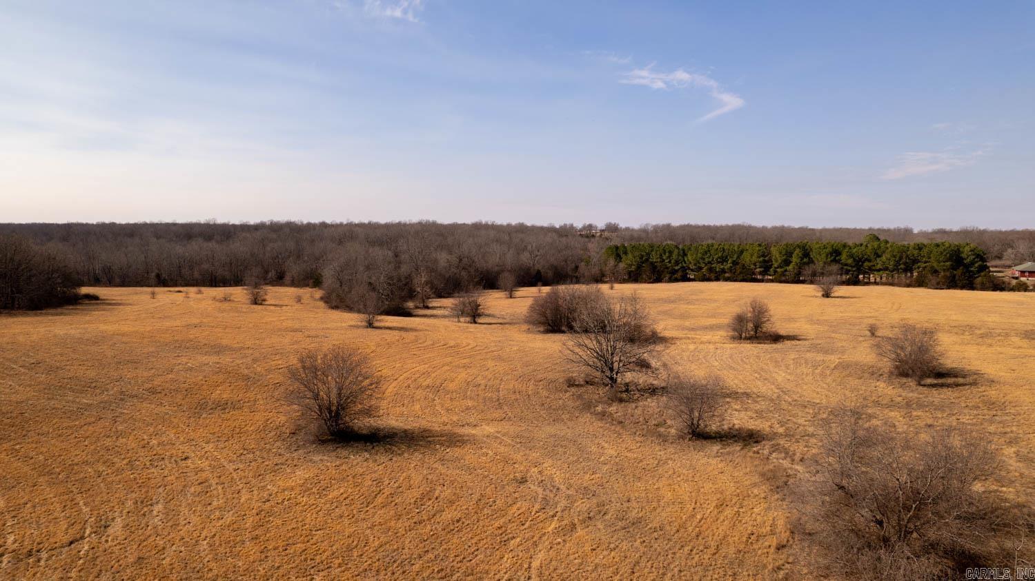 Photo 11 - Vacant Land for sale – 000  Traw Lane   Mammoth Spring, AR