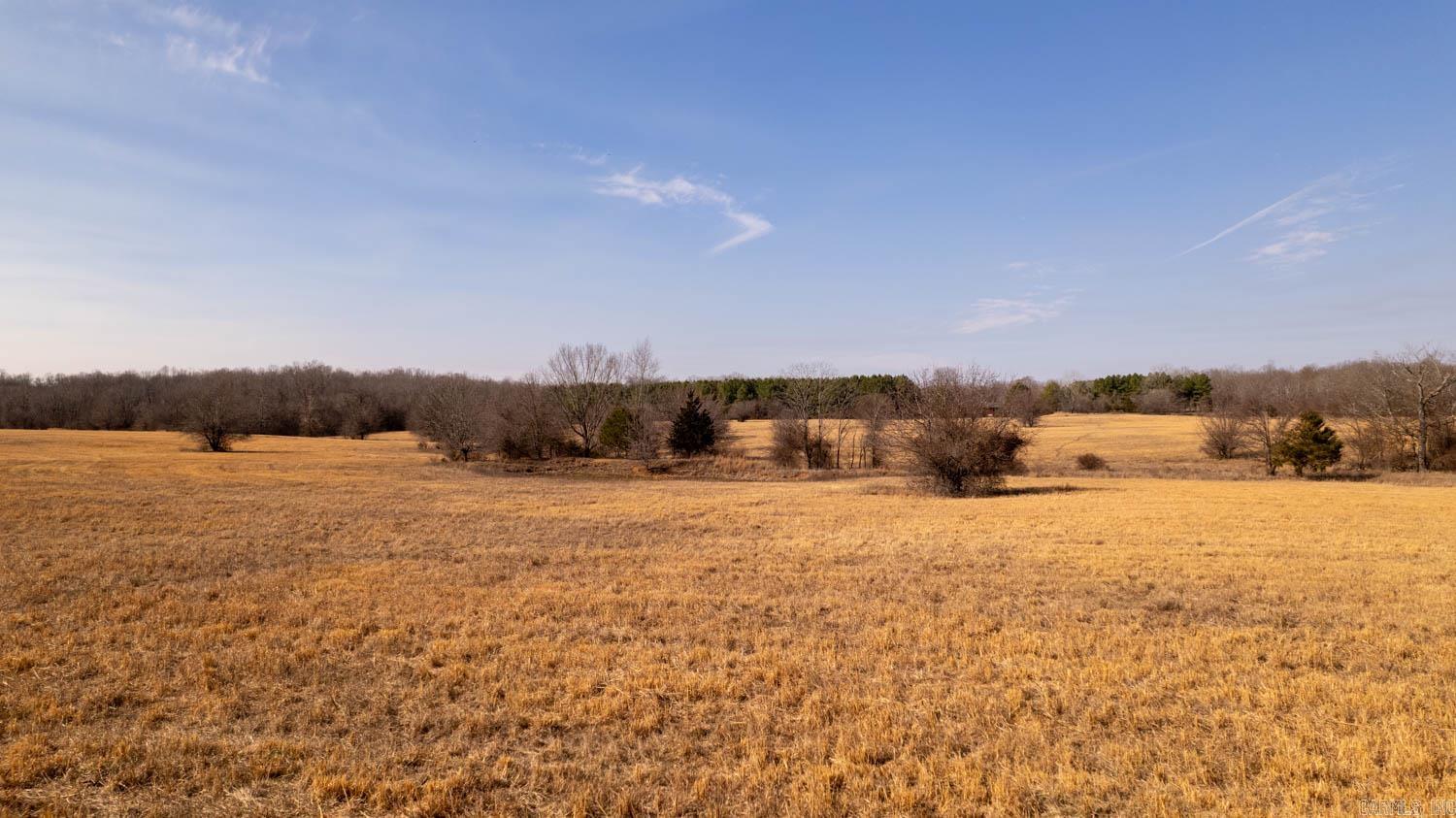 Photo 14 - Vacant Land for sale – 000  Traw Lane   Mammoth Spring, AR