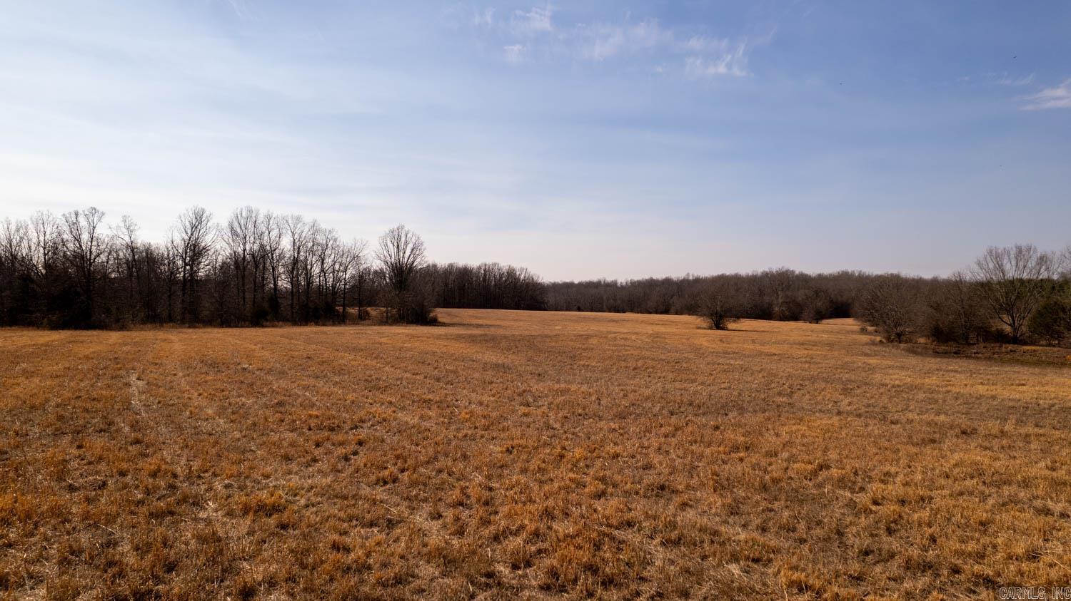 Photo 15 - Vacant Land for sale – 000  Traw Lane   Mammoth Spring, AR