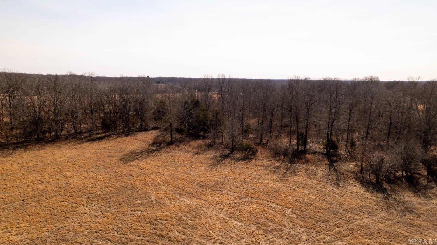 Photo 9 - Vacant Land for sale – 000  Traw Lane   Mammoth Spring, AR