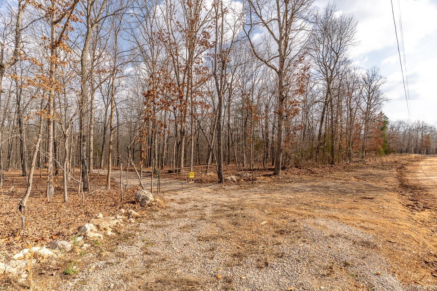 Photo 2 - Vacant Land for sale – 000  Barnes   Evening Shade, AR
