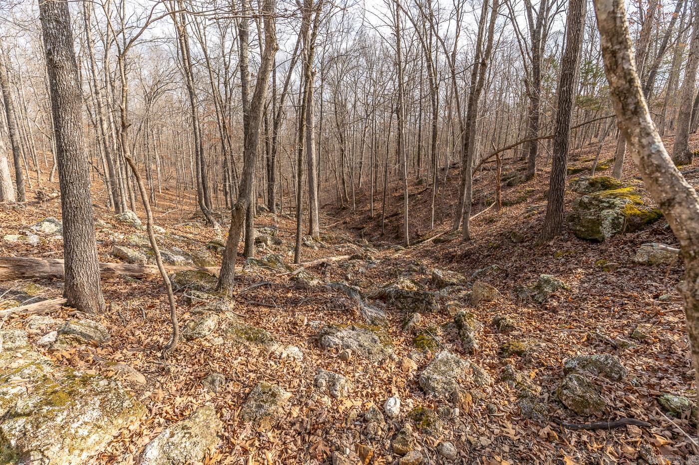 Photo 11 - Vacant Land for sale – 000  Barnes   Evening Shade, AR