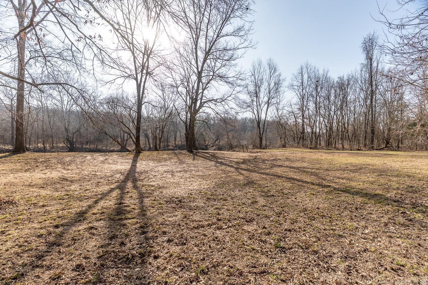 Photo 18 - Vacant Land for sale – 000  Barnes   Evening Shade, AR