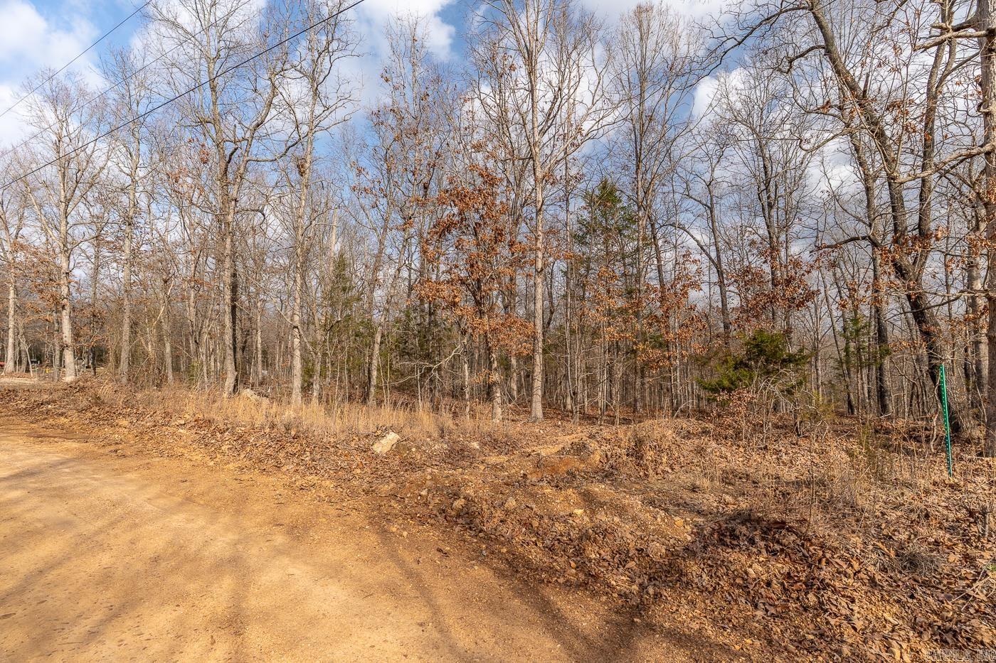 Photo 3 - Vacant Land for sale – 000  Barnes   Evening Shade, AR
