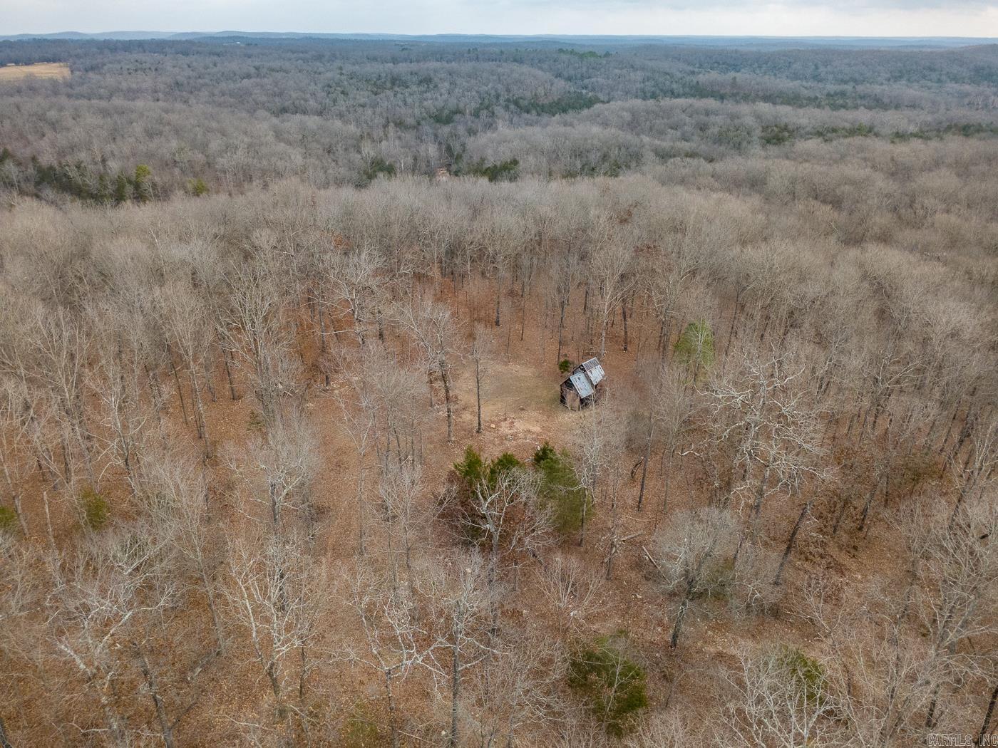 Photo 28 - Vacant Land for sale – 000  Barnes   Evening Shade, AR