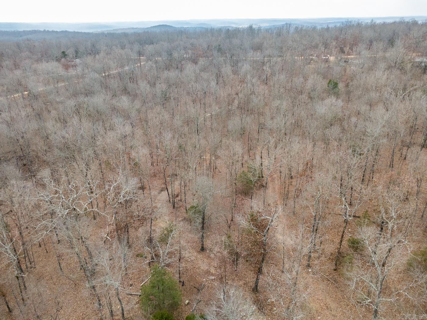 Photo 29 - Vacant Land for sale – 000  Barnes   Evening Shade, AR