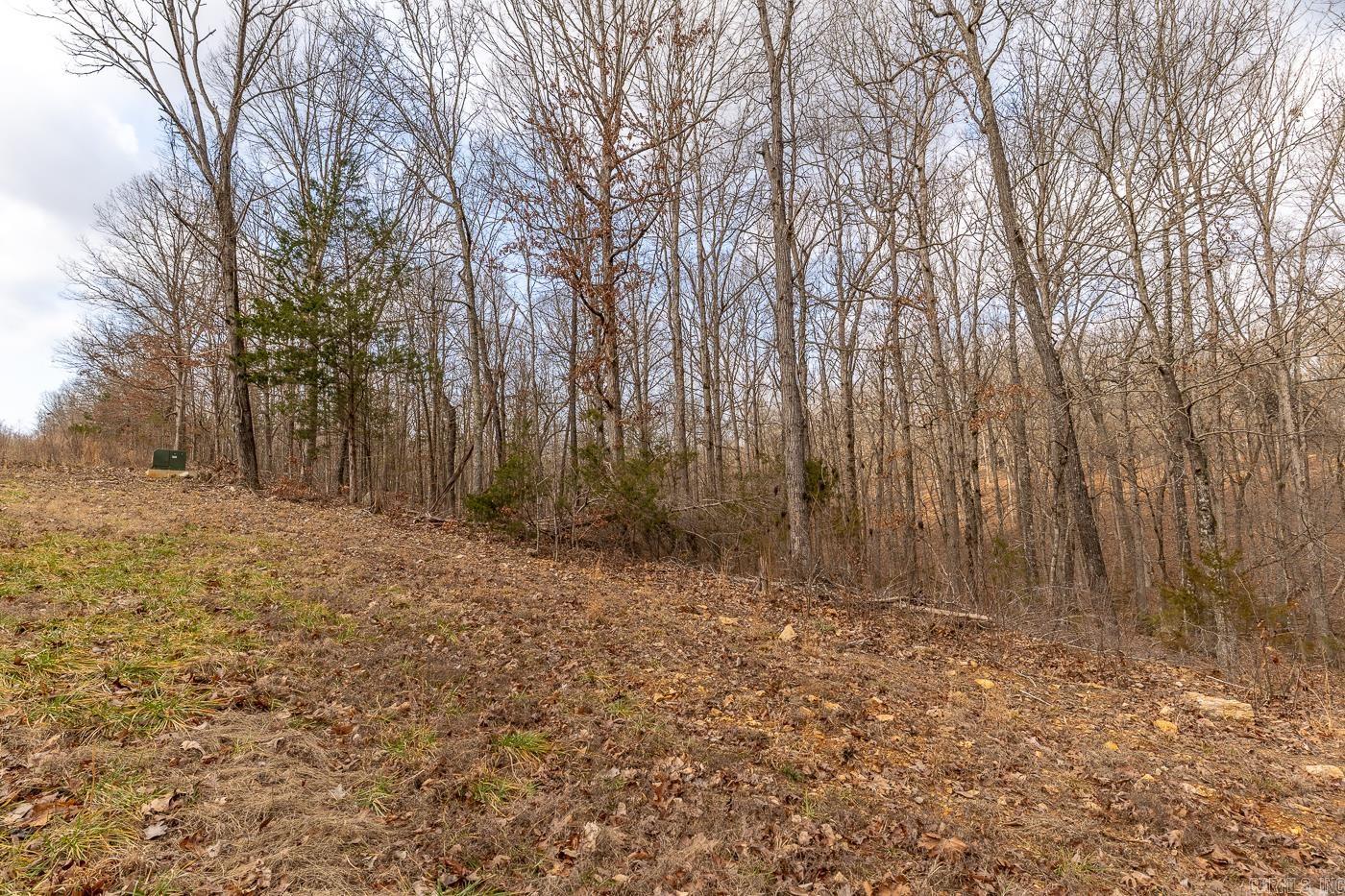 Photo 4 - Vacant Land for sale – 000  Barnes   Evening Shade, AR