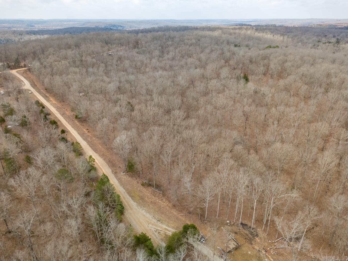 Photo 32 - Vacant Land for sale – 000  Barnes   Evening Shade, AR