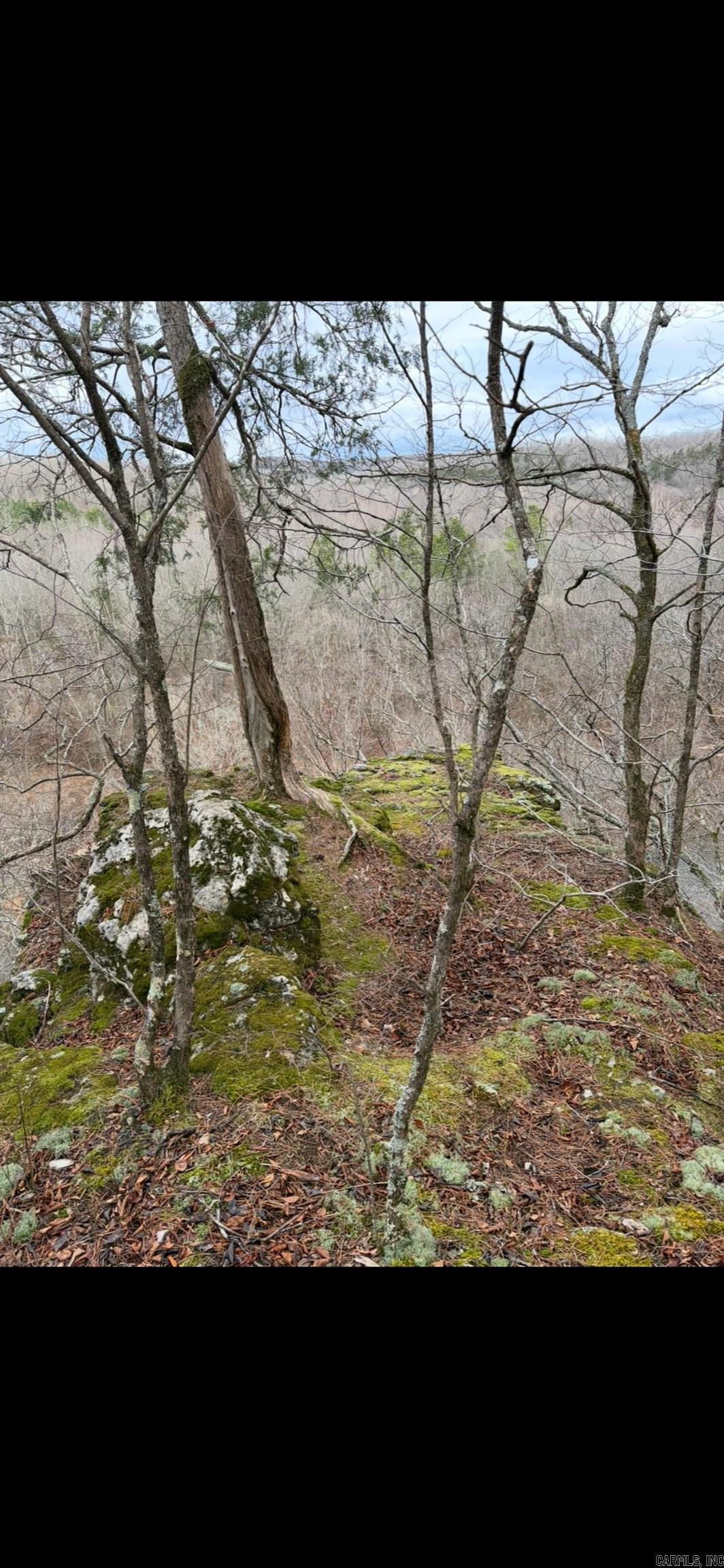 Photo 39 - Vacant Land for sale – 000  Barnes   Evening Shade, AR