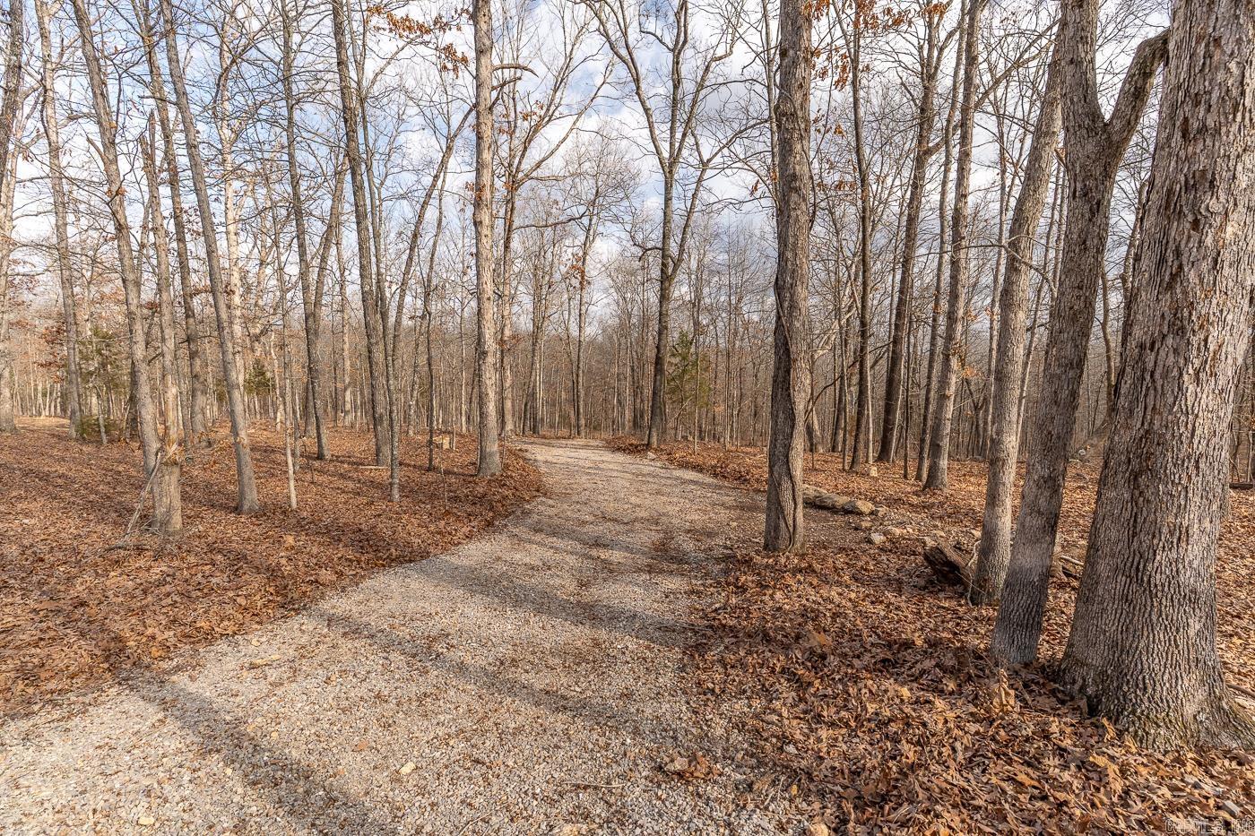 Photo 5 - Vacant Land for sale – 000  Barnes   Evening Shade, AR