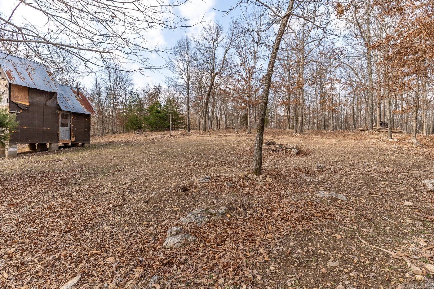 Photo 7 - Vacant Land for sale – 000  Barnes   Evening Shade, AR