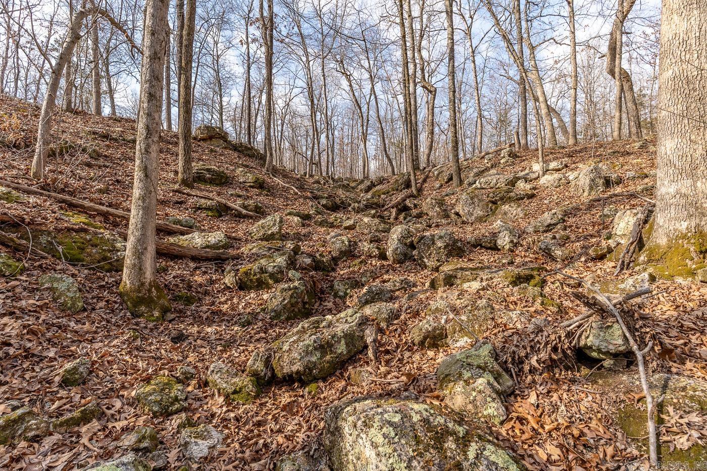 Photo 10 - Vacant Land for sale – 000  Barnes   Evening Shade, AR