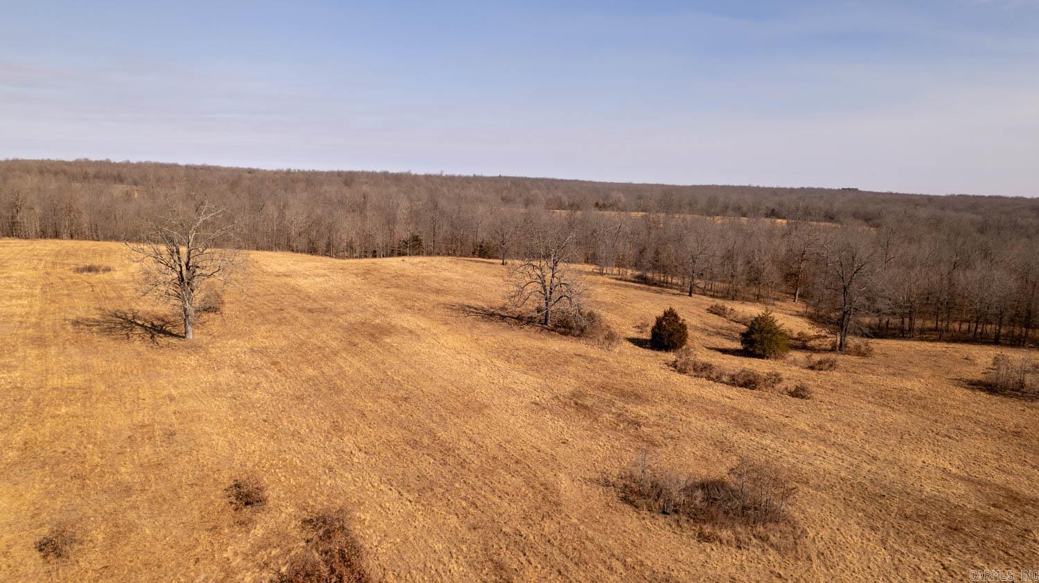 Photo 3 - Vacant Land for sale – 000 W Wirth Road   Mammoth Spring, AR