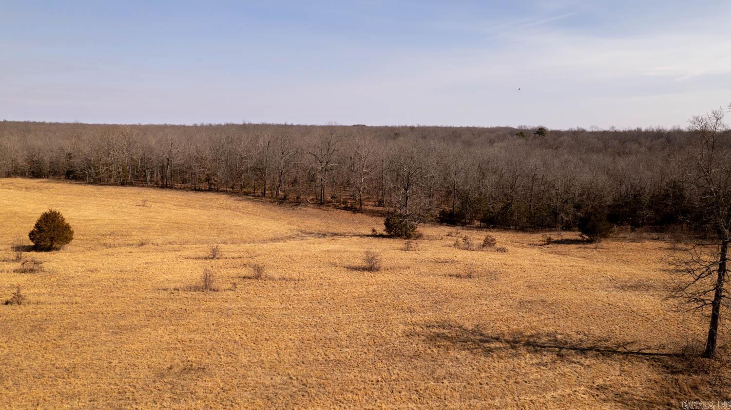 Photo 5 - Vacant Land for sale – 000 W Wirth Road   Mammoth Spring, AR