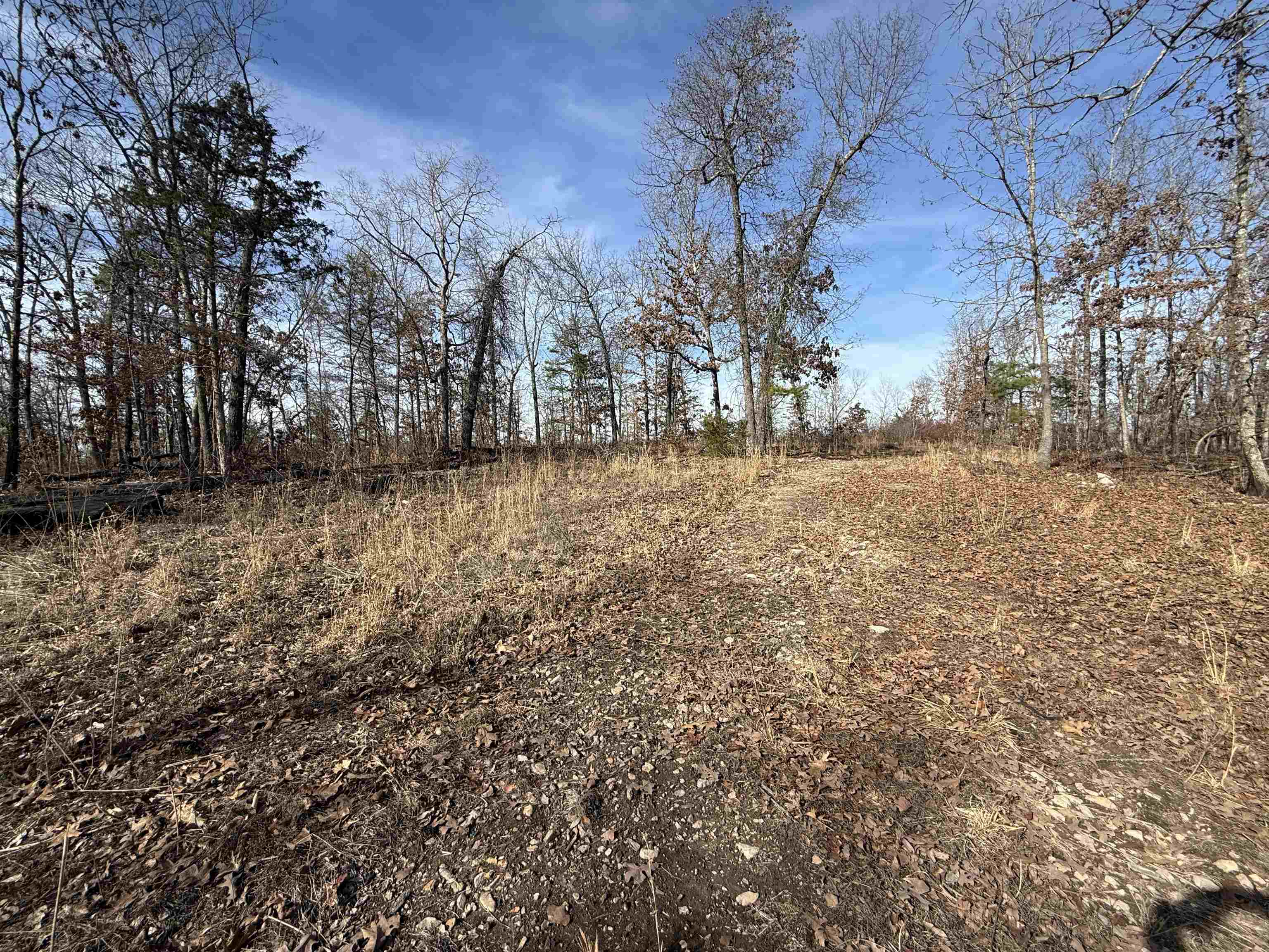 Photo 14 - Vacant Land for sale – 120A  Campground Road   Wideman, AR