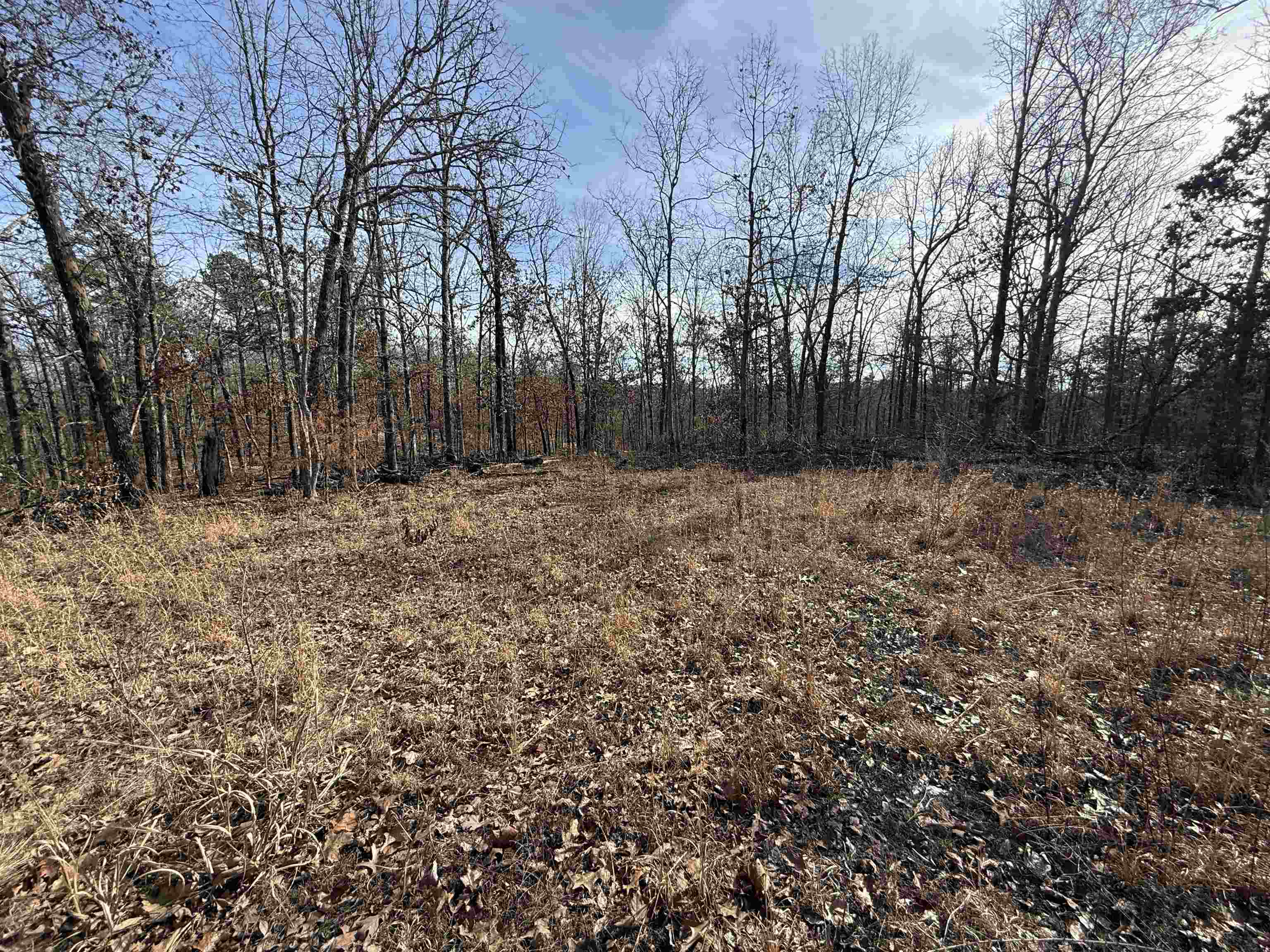 Photo 15 - Vacant Land for sale – 120A  Campground Road   Wideman, AR
