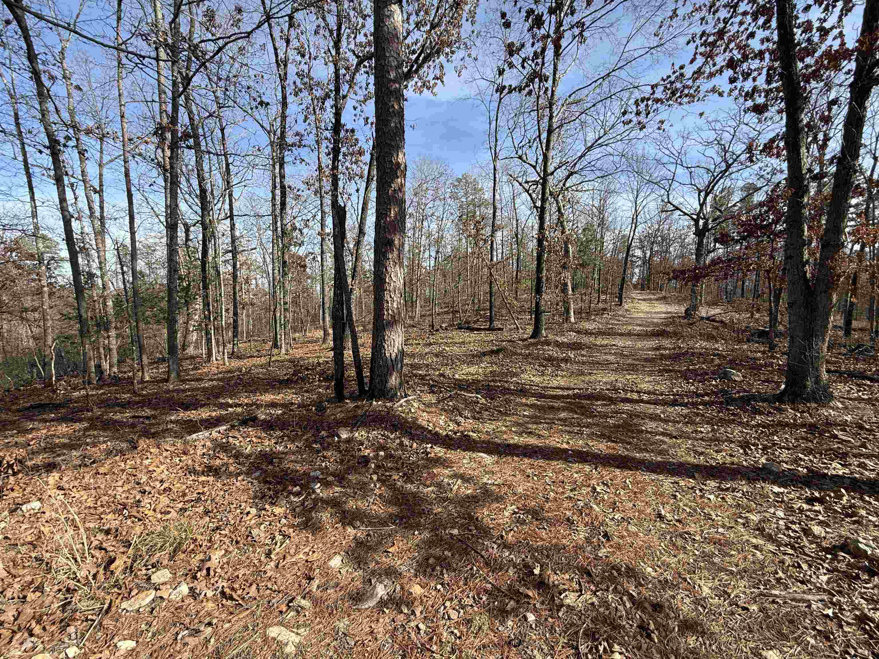 Photo 17 - Vacant Land for sale – 120A  Campground Road   Wideman, AR