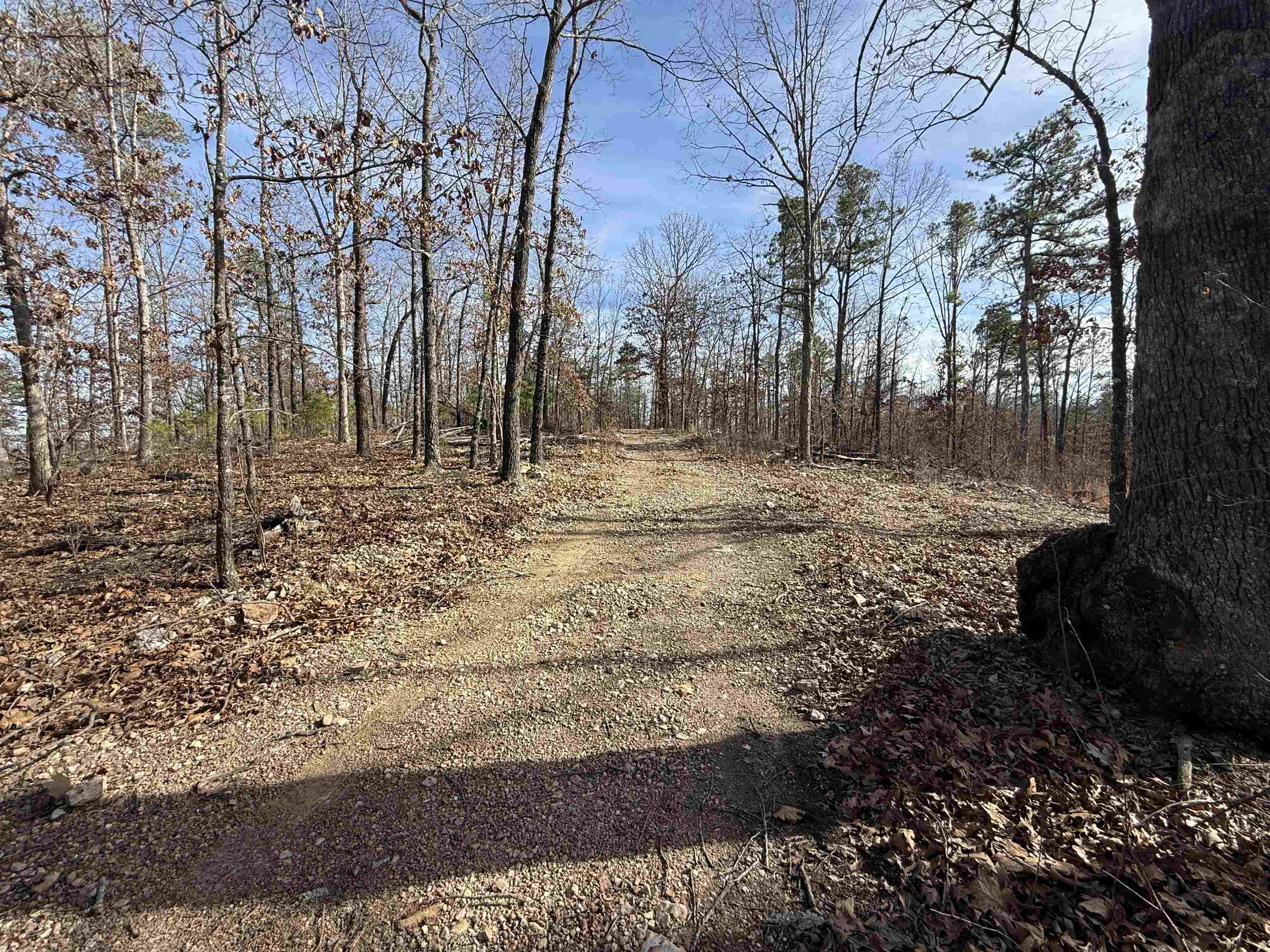 Photo 18 - Vacant Land for sale – 120A  Campground Road   Wideman, AR