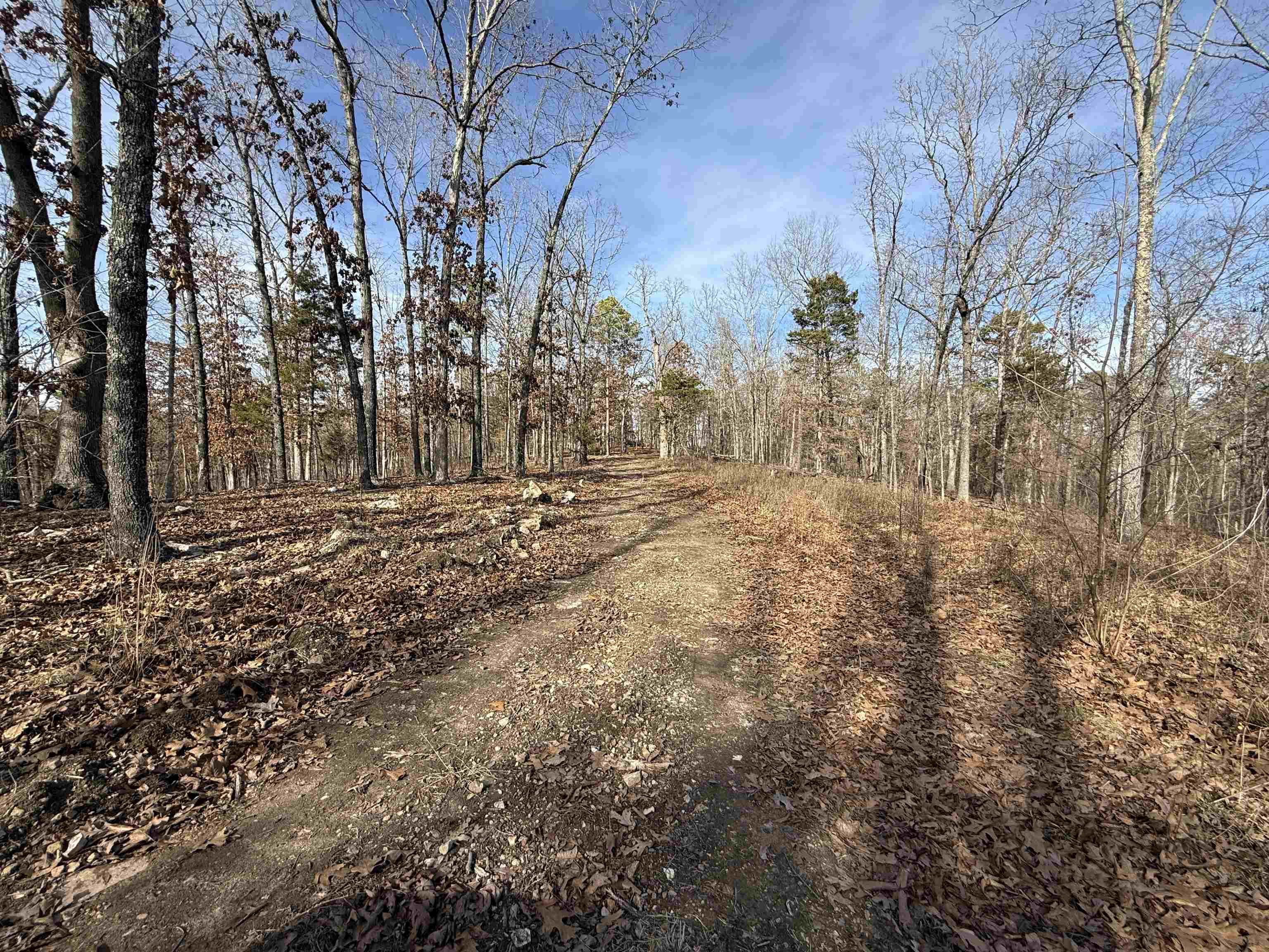 Photo 19 - Vacant Land for sale – 120A  Campground Road   Wideman, AR