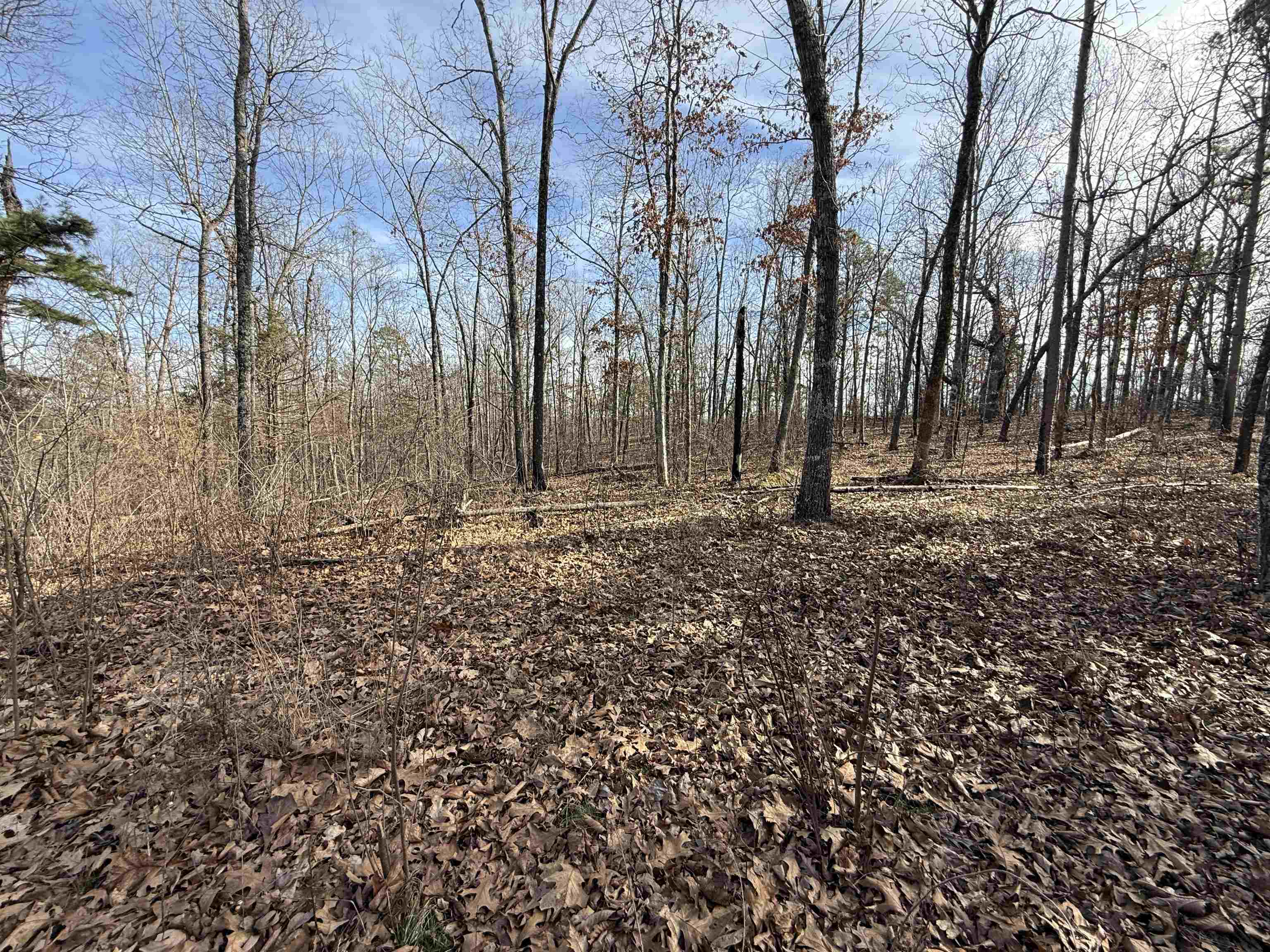 Photo 20 - Vacant Land for sale – 120A  Campground Road   Wideman, AR