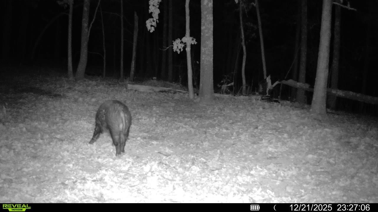 Photo 4 - Vacant Land for sale – 120A  Campground Road   Wideman, AR