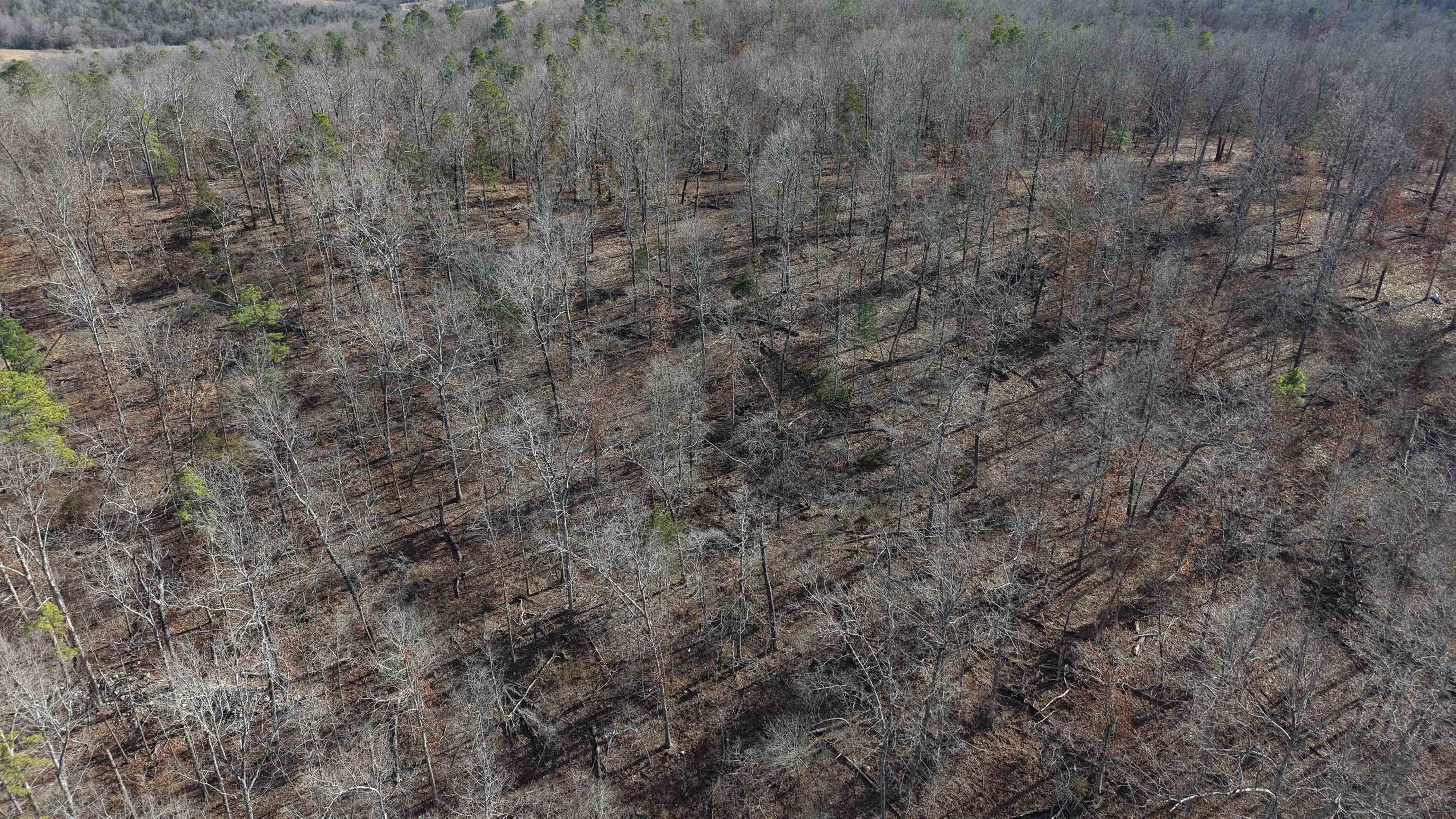 Photo 8 - Vacant Land for sale – 120A  Campground Road   Wideman, AR