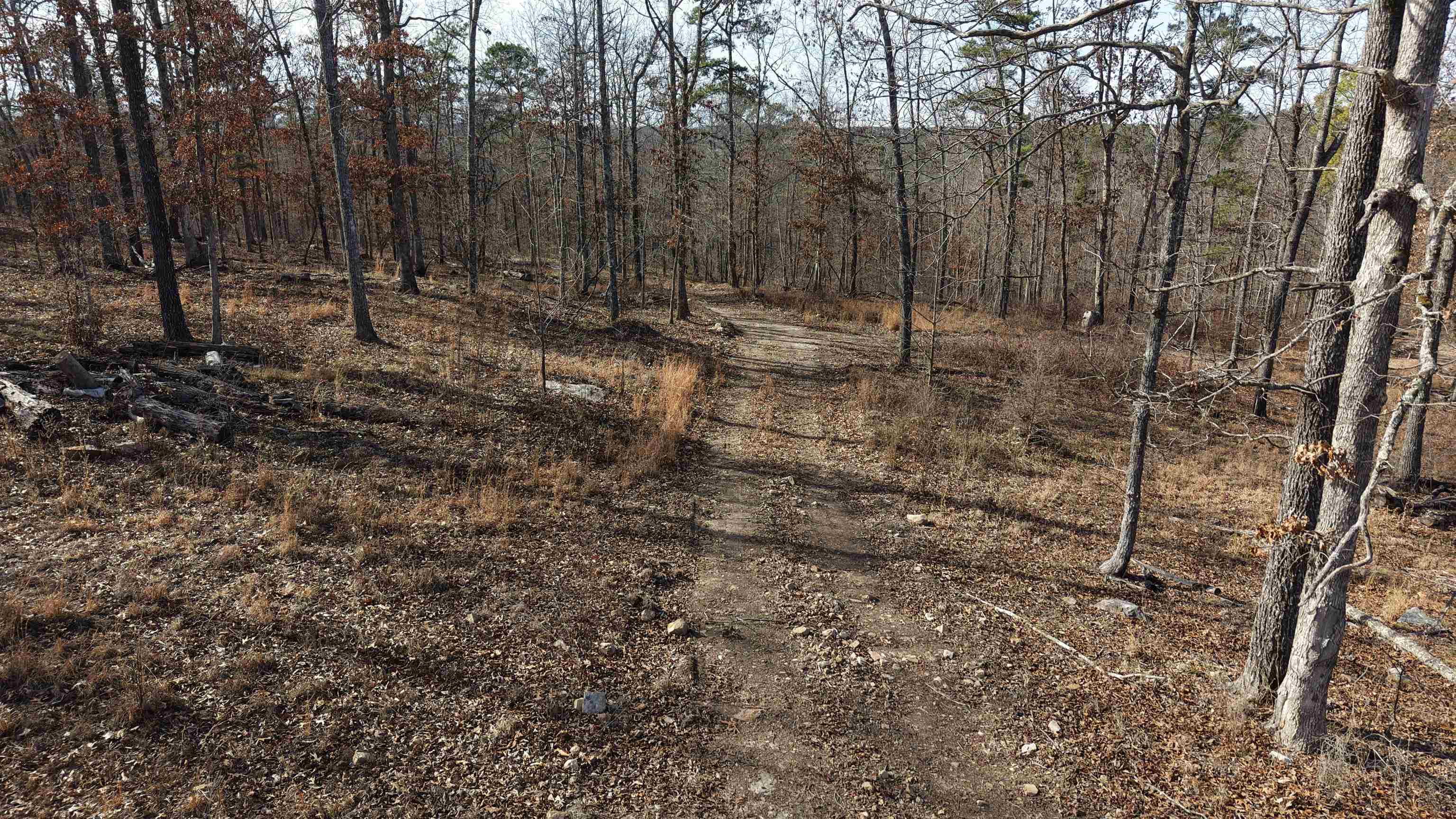 Photo 9 - Vacant Land for sale – 120A  Campground Road   Wideman, AR