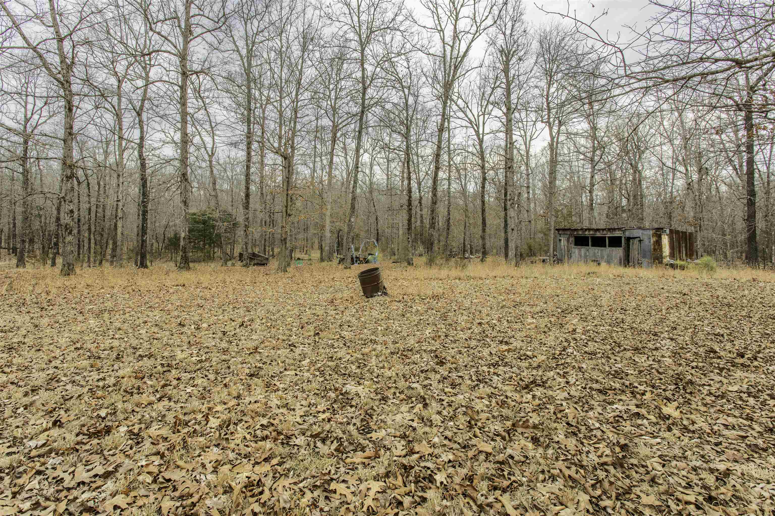 Photo 6 - Residential for sale – 696  Browns Creek Rd   Ravenden, AR