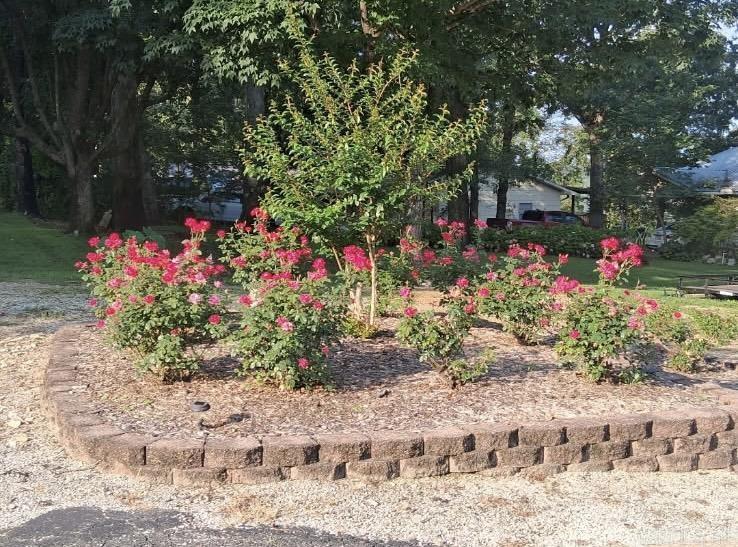 Photo 43 - Residential for sale – 1207  Edgewater   Horseshoe Bend, AR