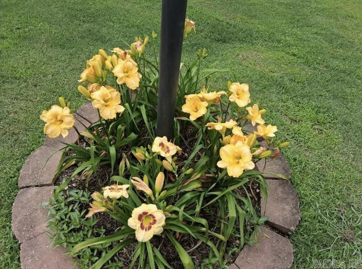 Photo 46 - Residential for sale – 1207  Edgewater   Horseshoe Bend, AR