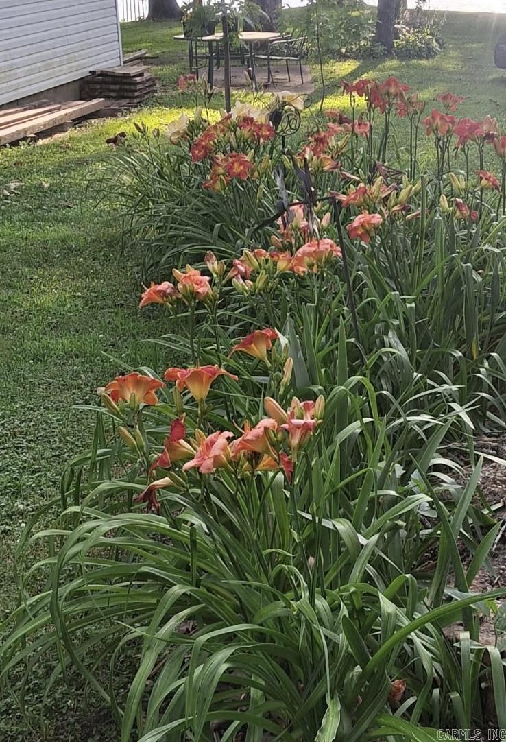 Photo 48 - Residential for sale – 1207  Edgewater   Horseshoe Bend, AR