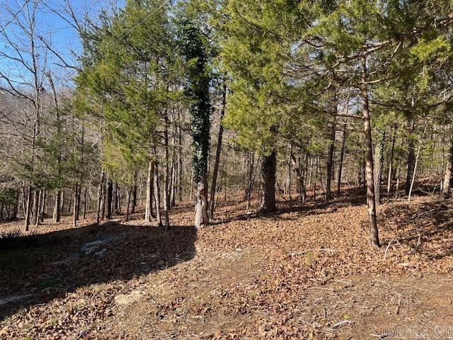 Photo 13 - Residential for sale – 49  Banho   Cherokee Village, AR