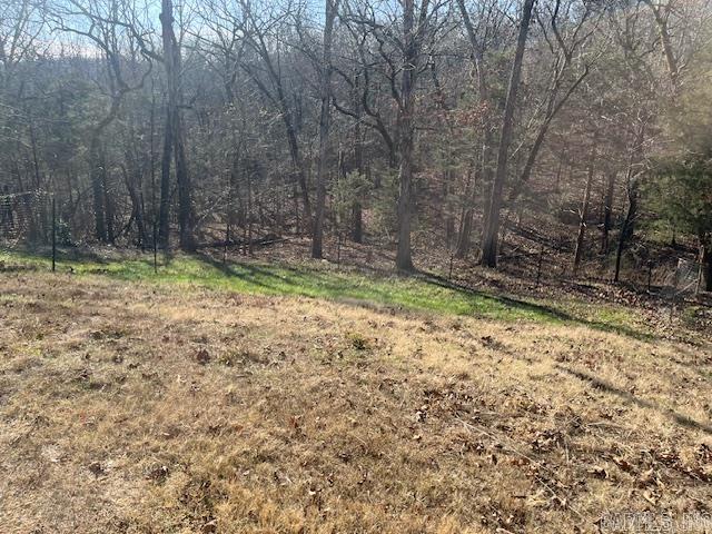 Photo 15 - Residential for sale – 49  Banho   Cherokee Village, AR