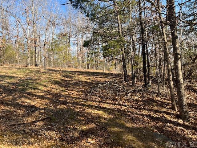 Photo 16 - Residential for sale – 49  Banho   Cherokee Village, AR