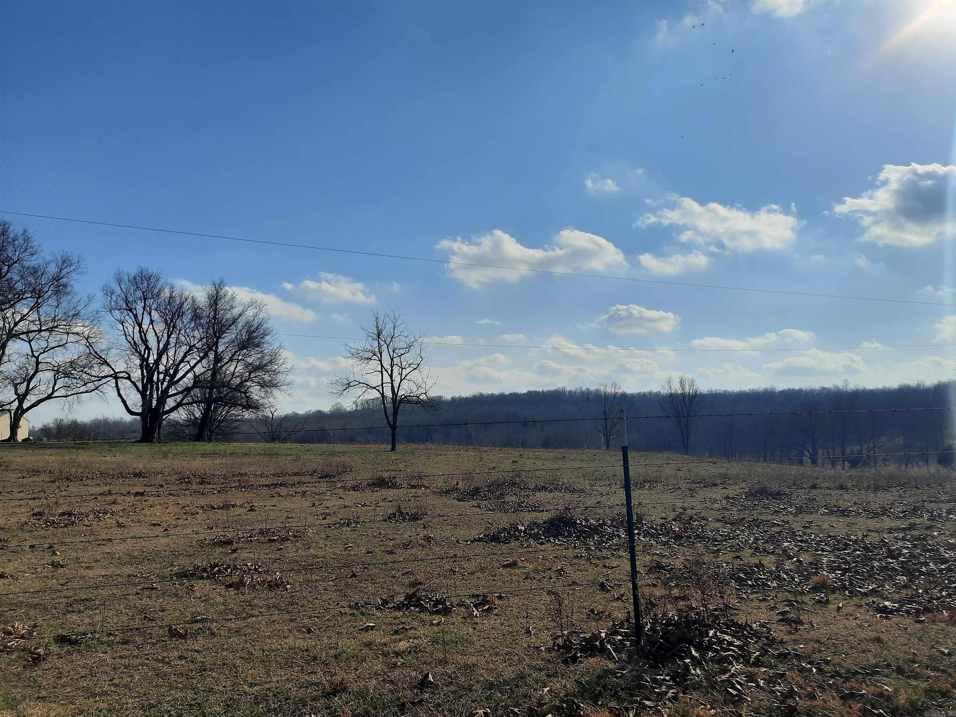 Photo 12 - Residential for sale – 111  Robinson   Mammoth Spring, AR