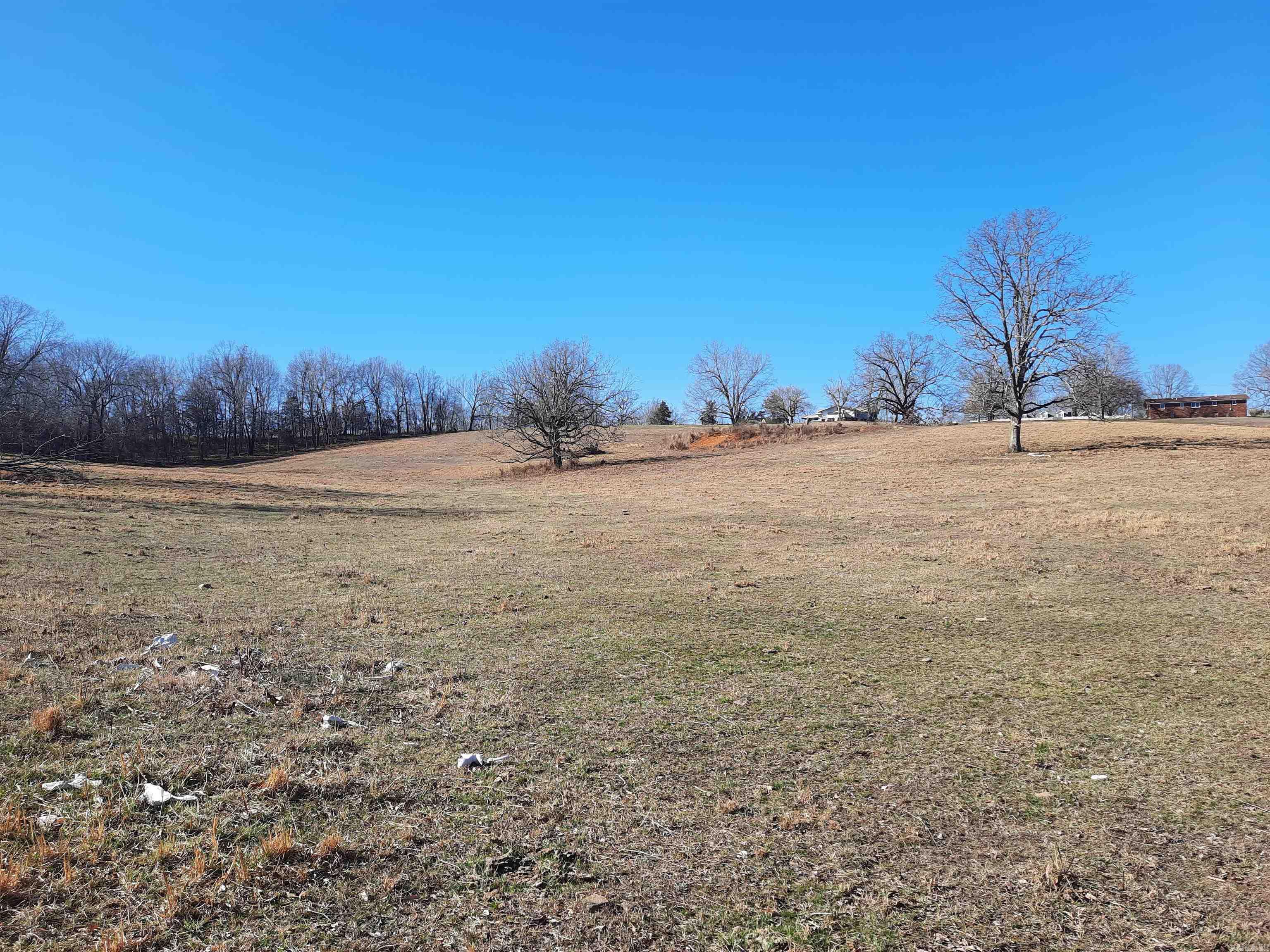 Photo 24 - Residential for sale – 111  Robinson   Mammoth Spring, AR