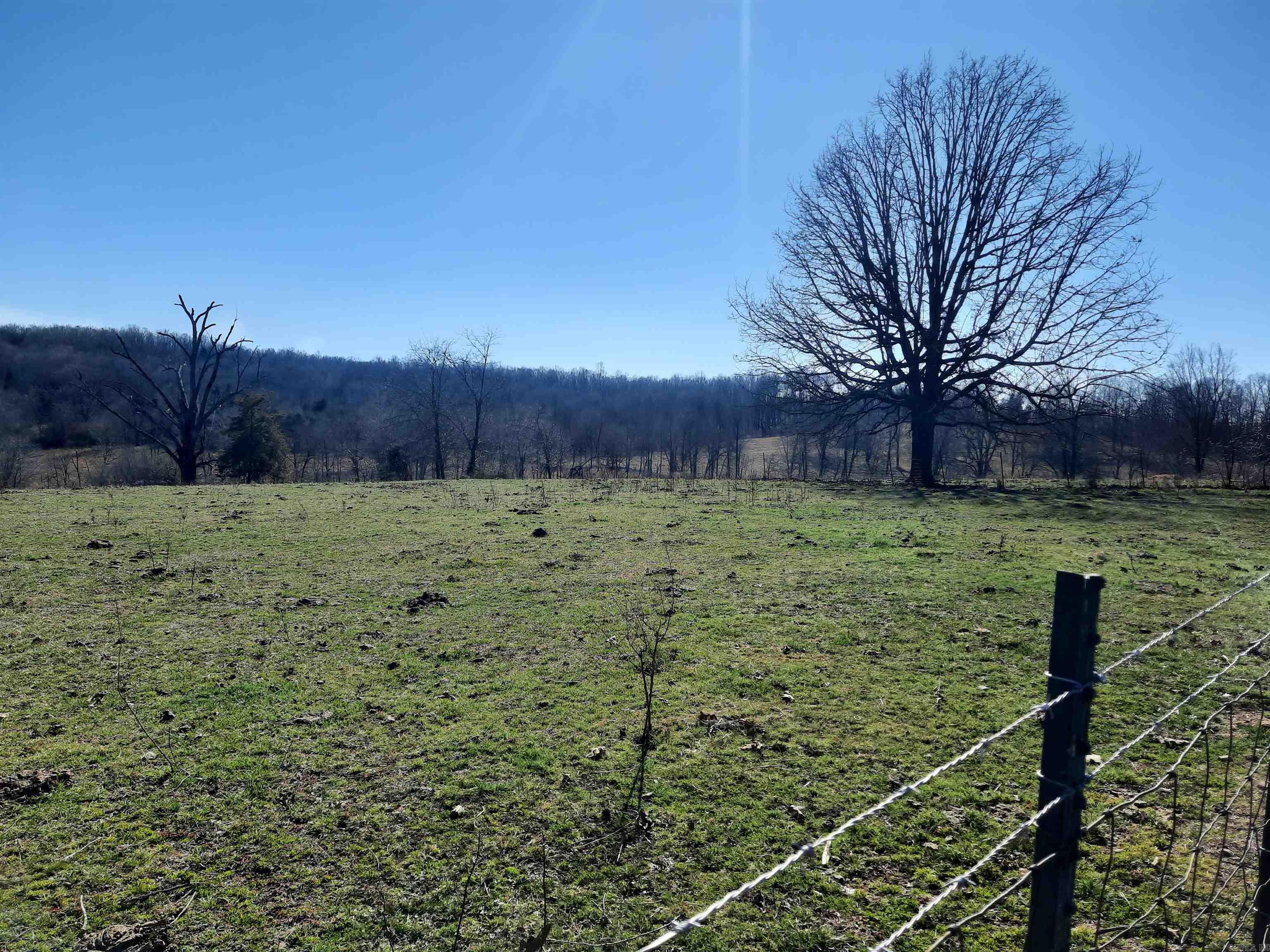 Photo 28 - Residential for sale – 111  Robinson   Mammoth Spring, AR