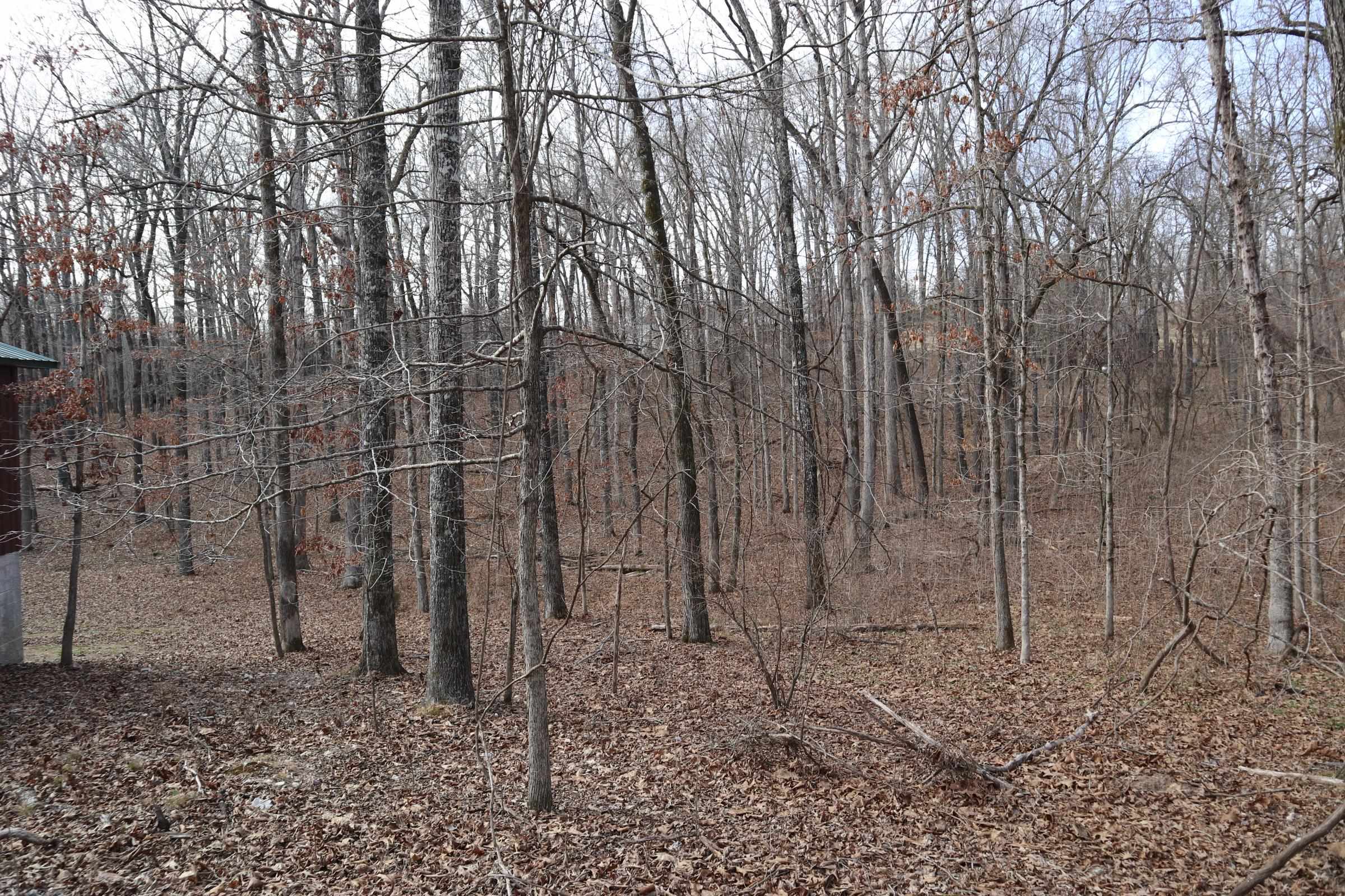 Photo 12 - Vacant Land for sale – TBD  Great Woods Rd   Mammoth Spring, AR