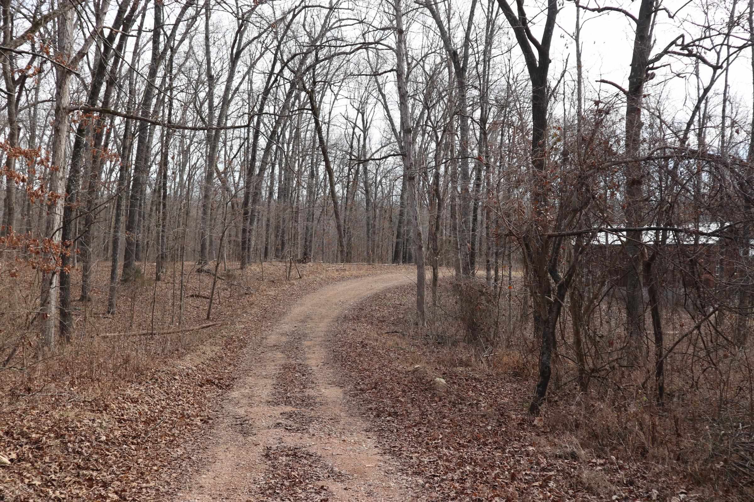 Photo 3 - Vacant Land for sale – TBD  Great Woods Rd   Mammoth Spring, AR