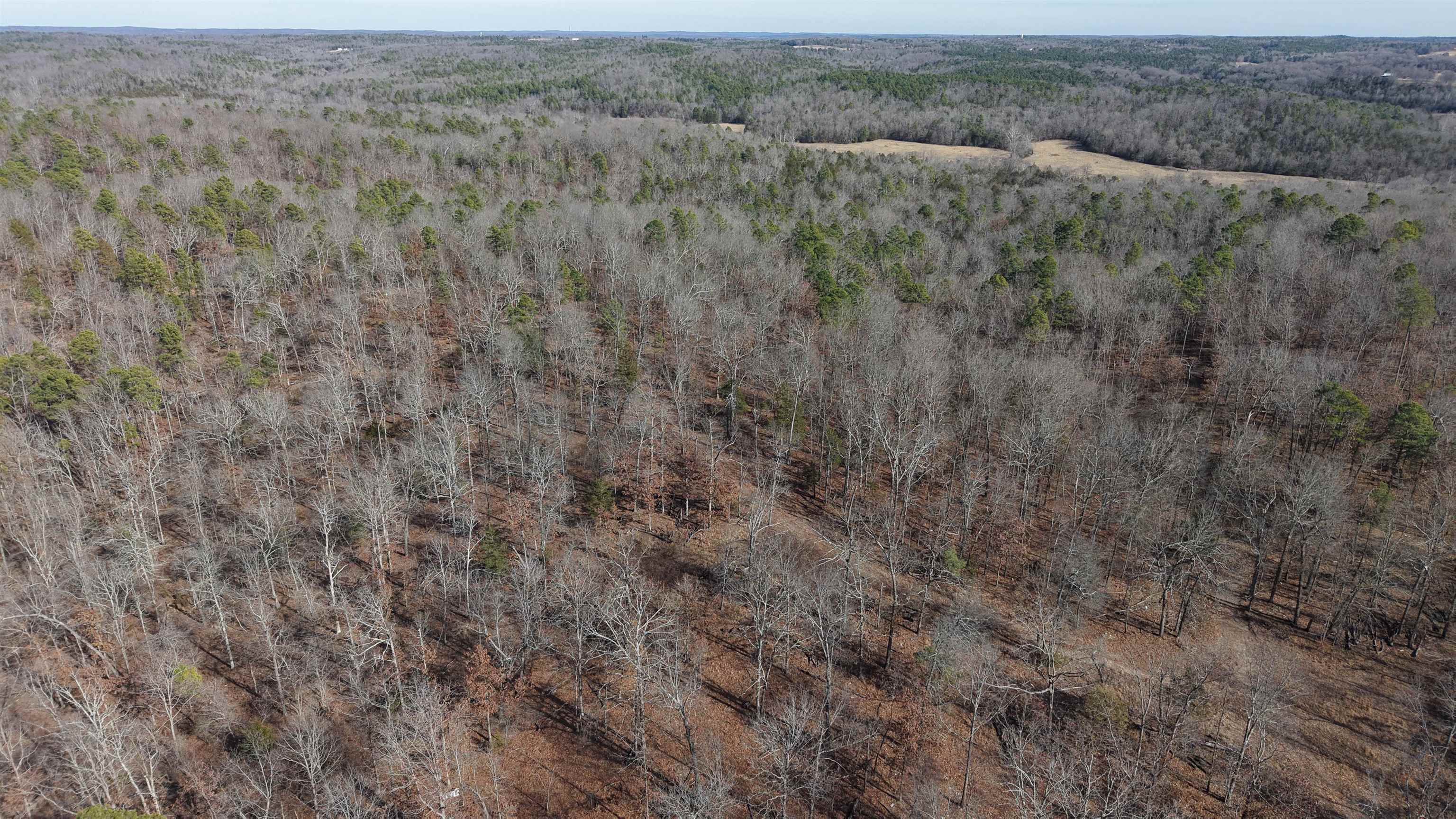 Photo 14 - Vacant Land for sale – 123  Campground Road   Wideman, AR