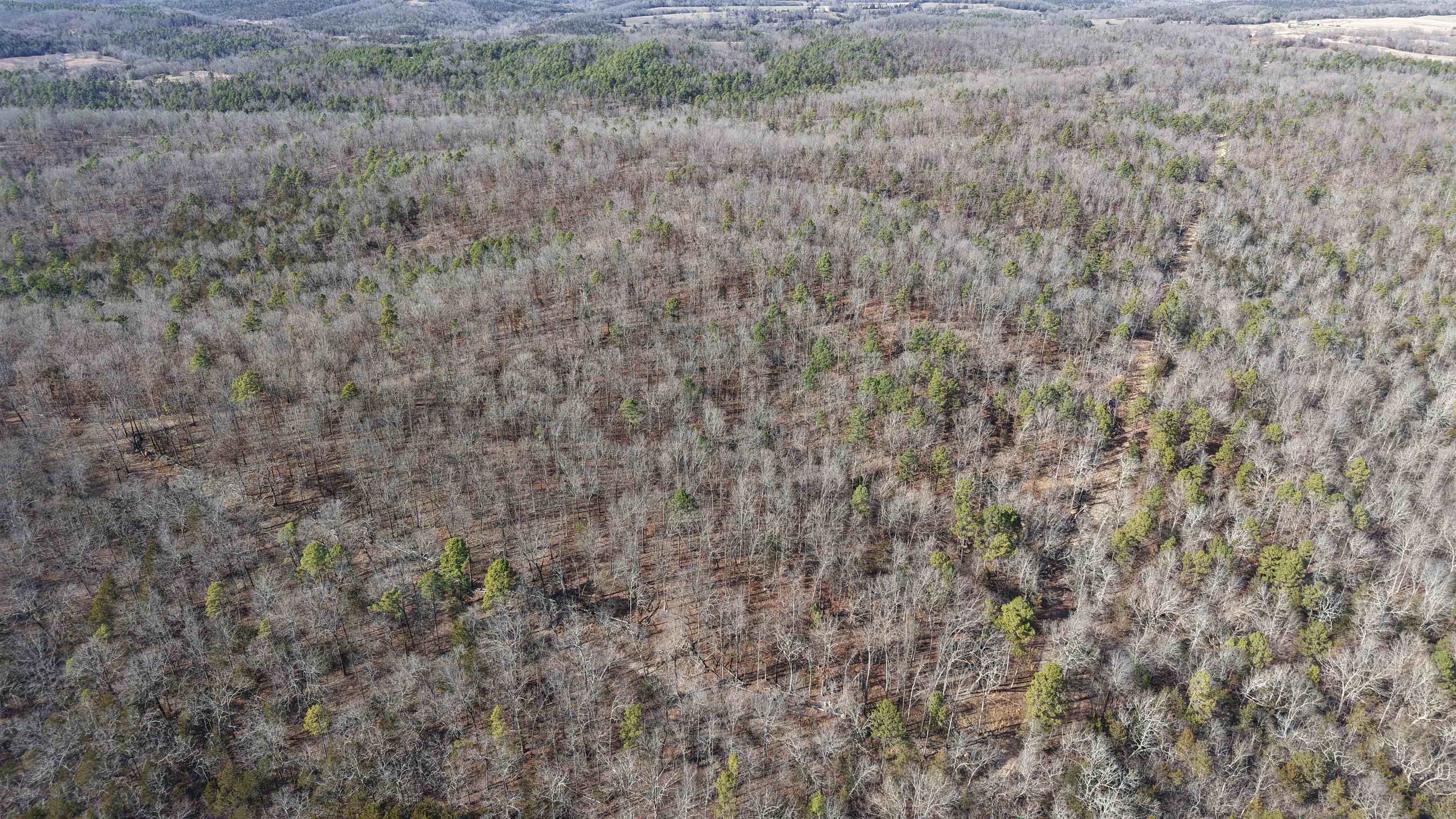 Photo 16 - Vacant Land for sale – 123  Campground Road   Wideman, AR