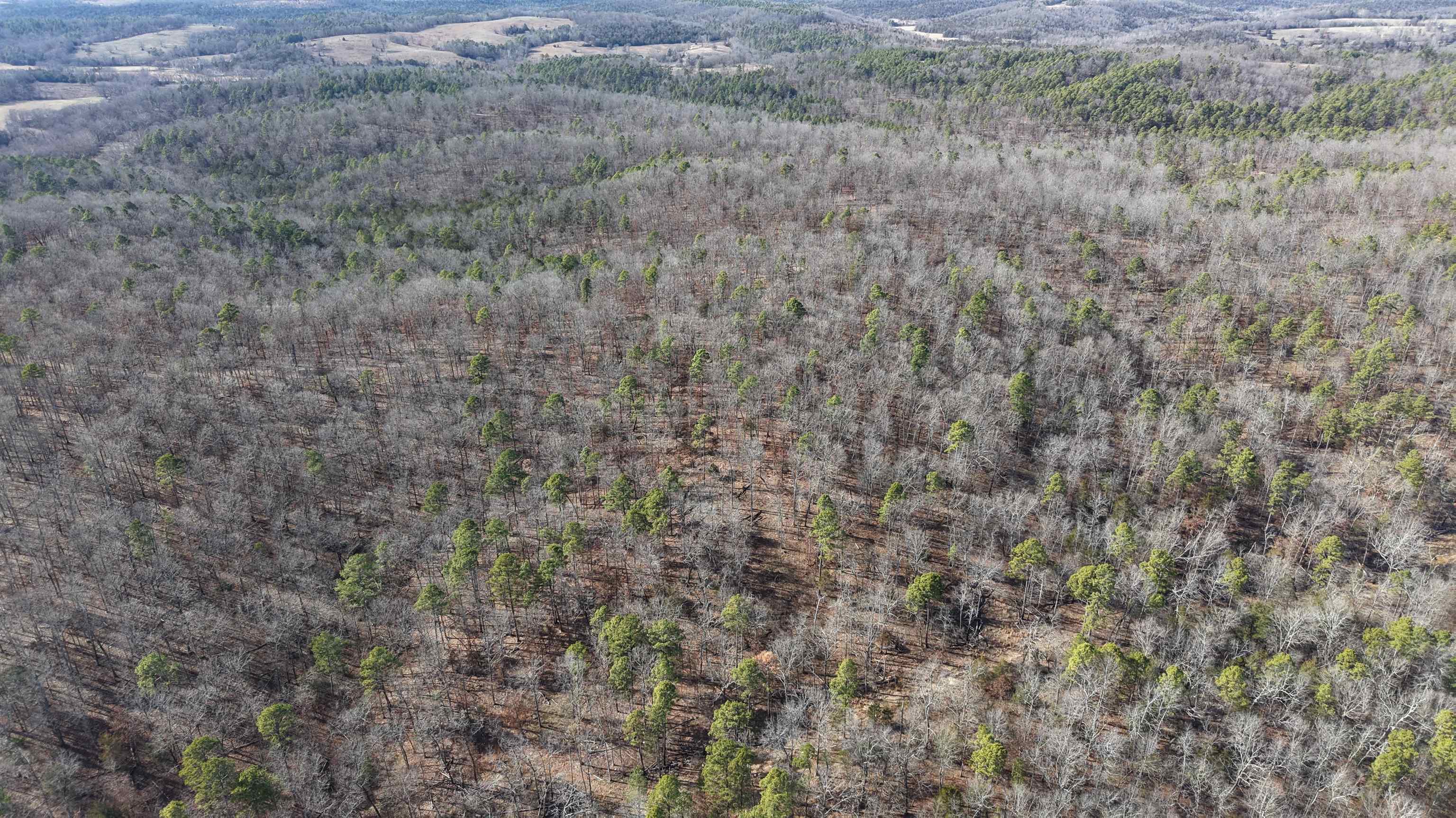 Photo 17 - Vacant Land for sale – 123  Campground Road   Wideman, AR