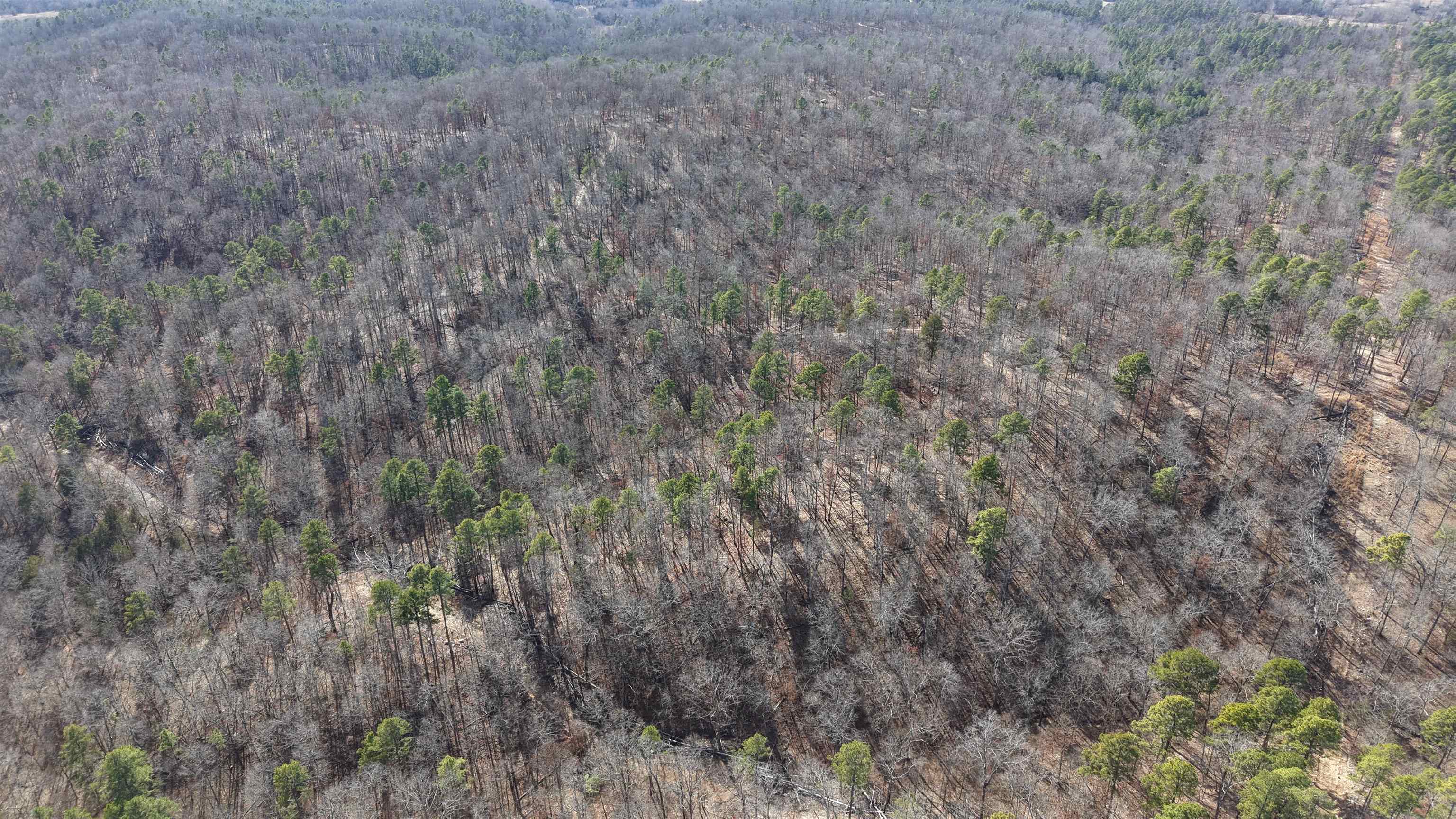 Photo 18 - Vacant Land for sale – 123  Campground Road   Wideman, AR