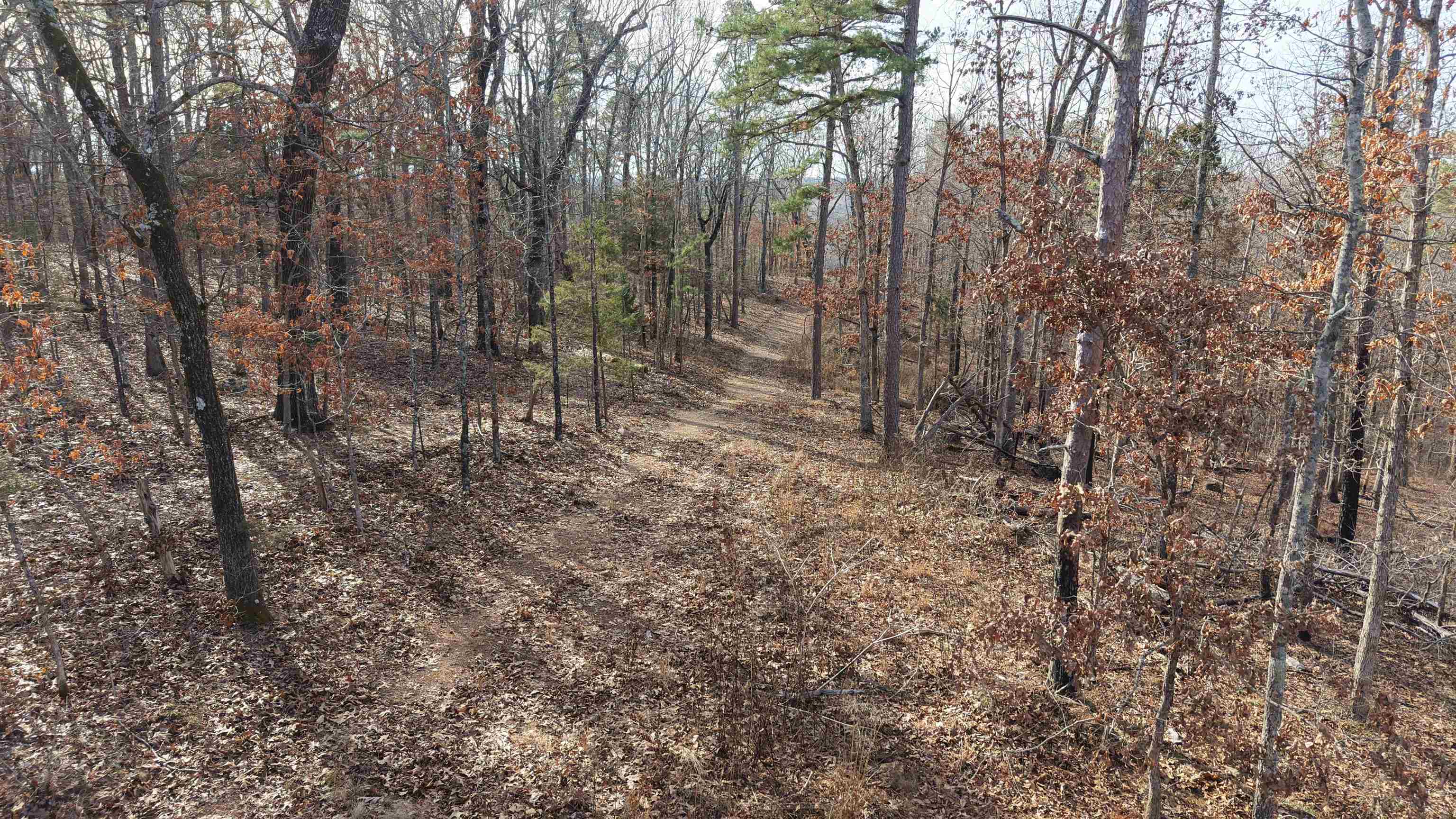 Photo 20 - Vacant Land for sale – 123  Campground Road   Wideman, AR
