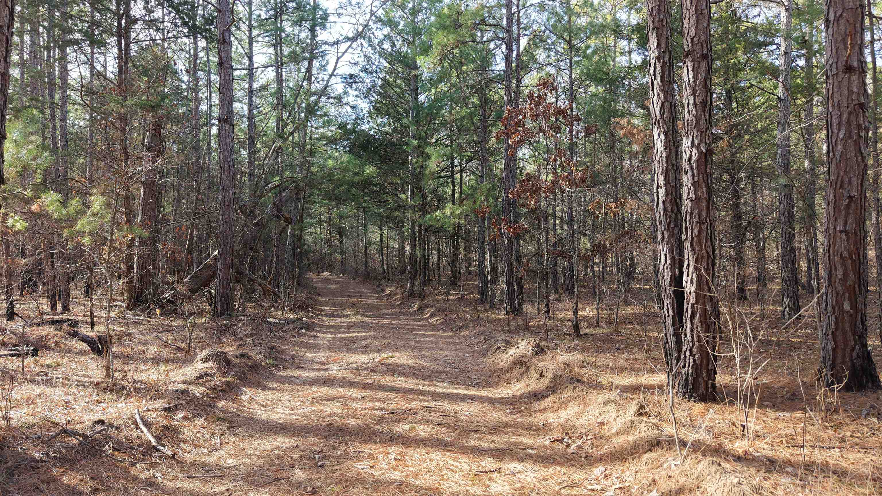 Photo 38 - Vacant Land for sale – 123  Campground Road   Wideman, AR