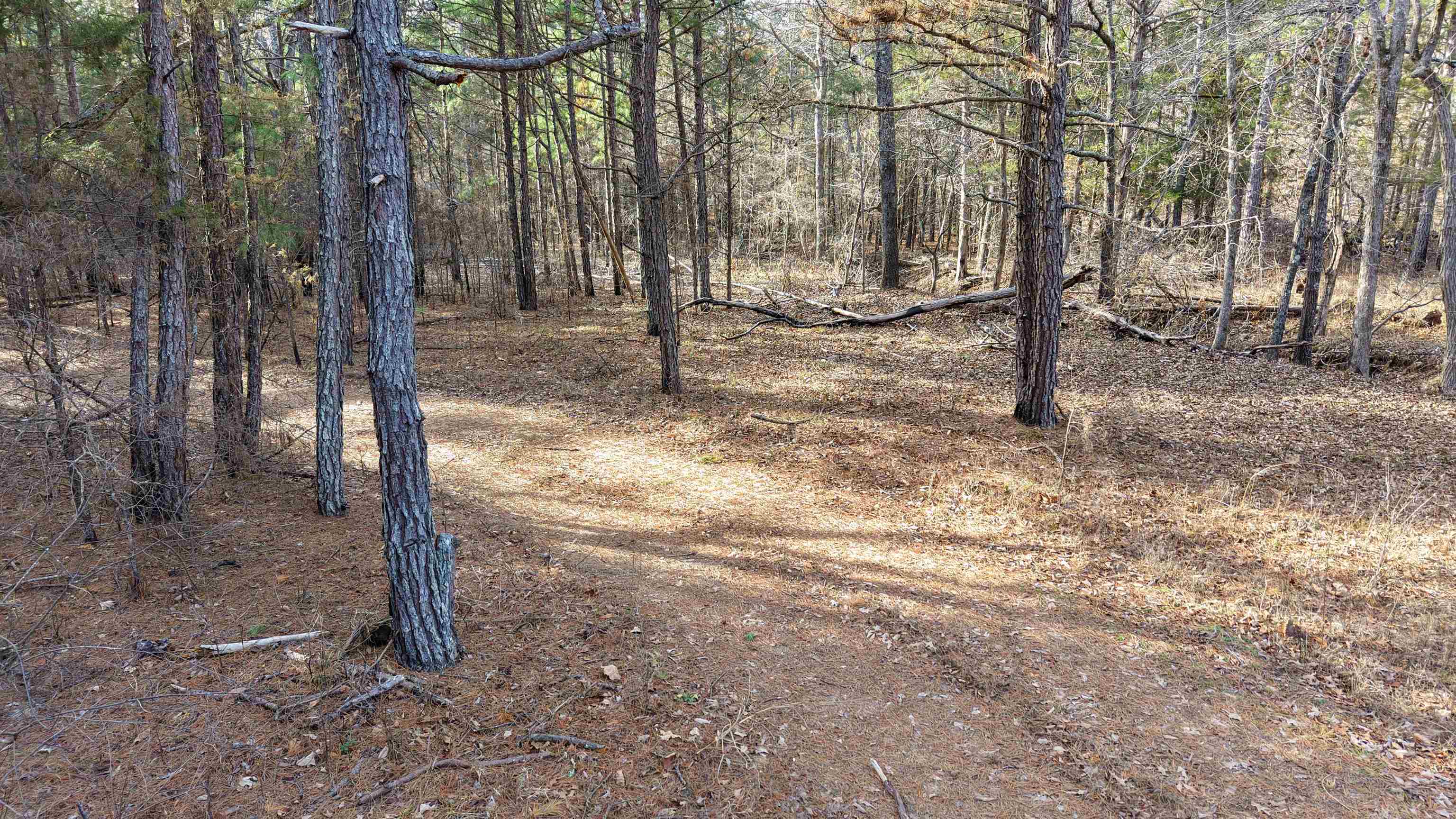Photo 39 - Vacant Land for sale – 123  Campground Road   Wideman, AR
