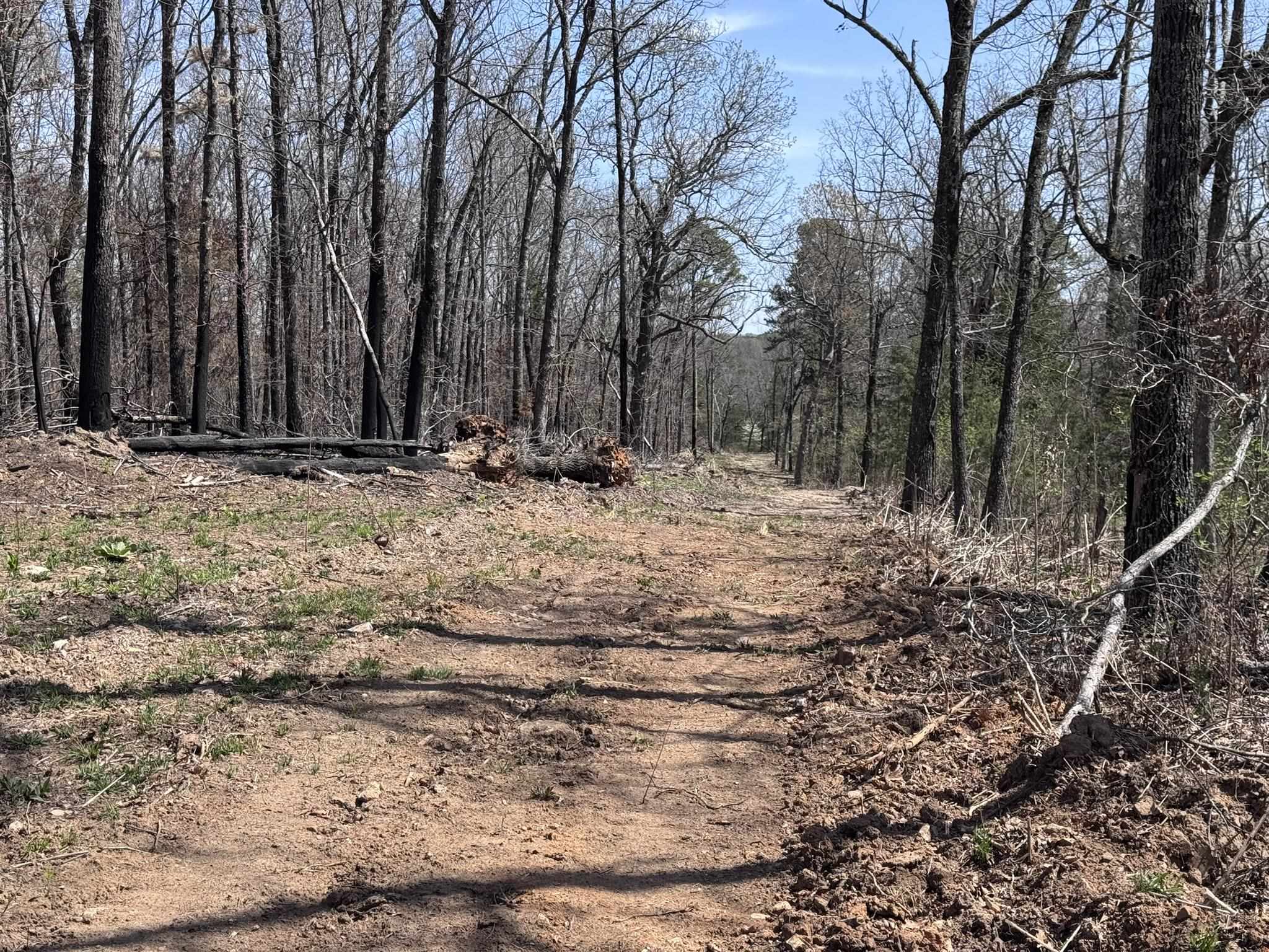 Photo 44 - Vacant Land for sale – 123  Campground Road   Wideman, AR