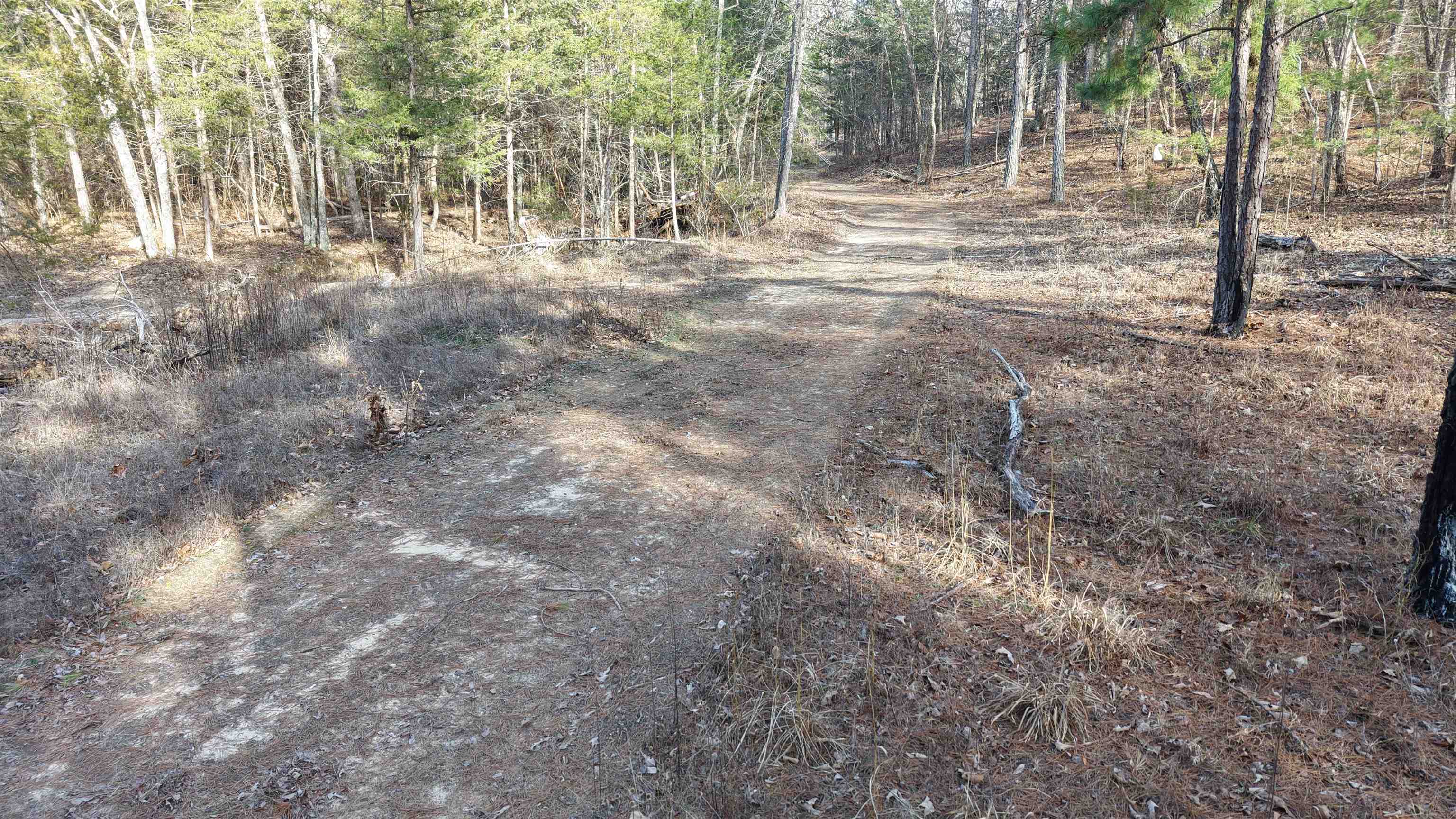 Photo 46 - Vacant Land for sale – 123  Campground Road   Wideman, AR