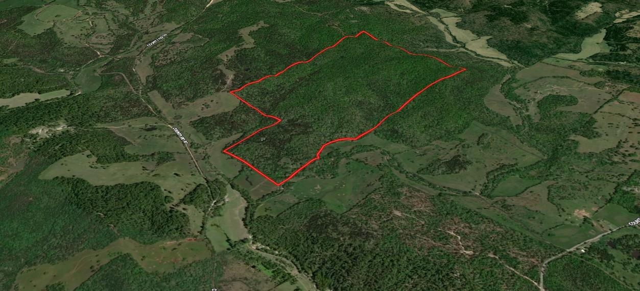 Photo 47 - Vacant Land for sale – 123  Campground Road   Wideman, AR